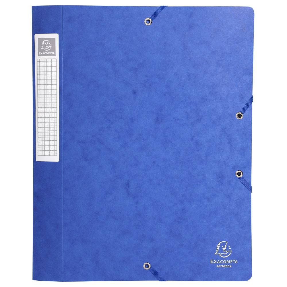 Exacompta 10x Archivbox Rücken 40mm Karton +3 Klappen Gummizug A4 sortier 14000H