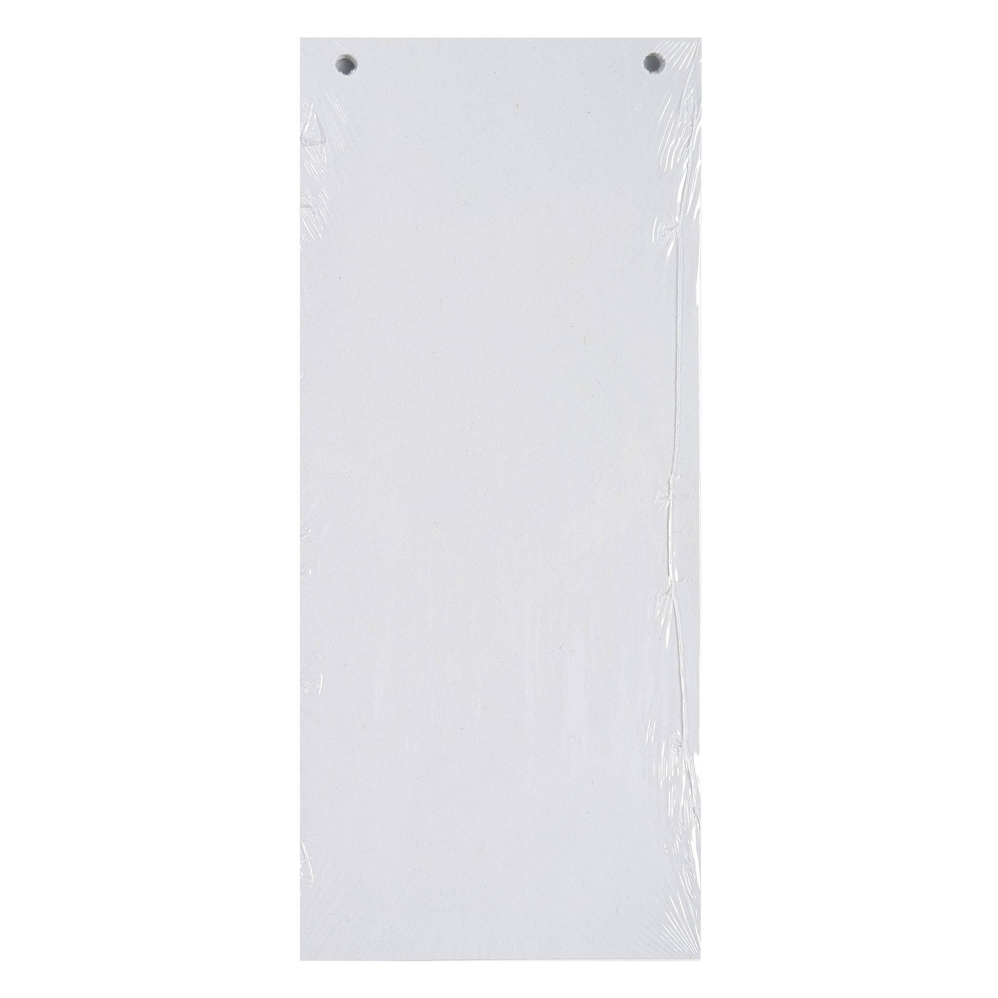 Exacompta 12x 100 Trennstreifen 2-fach gelocht RC Kart 105x240mm Weiß 13405B