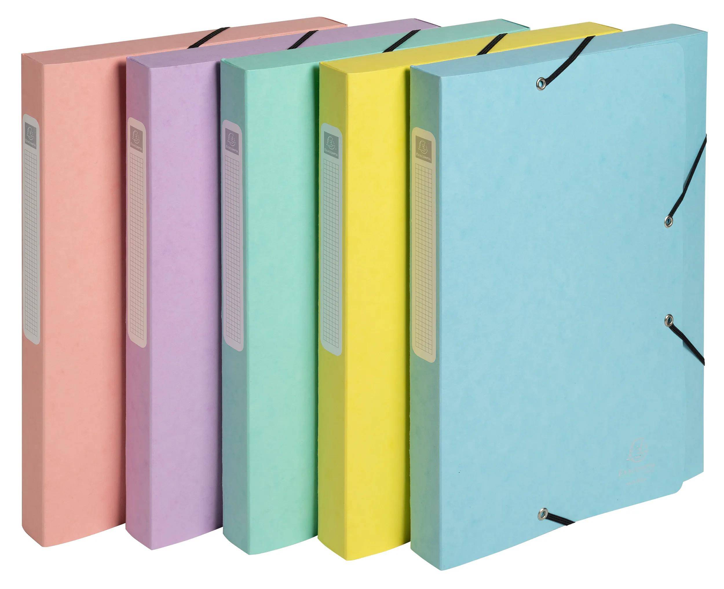Exacompta 10x Archivbox A4 Colorspan Rücken 25mm Aquarel sortiert 18560E