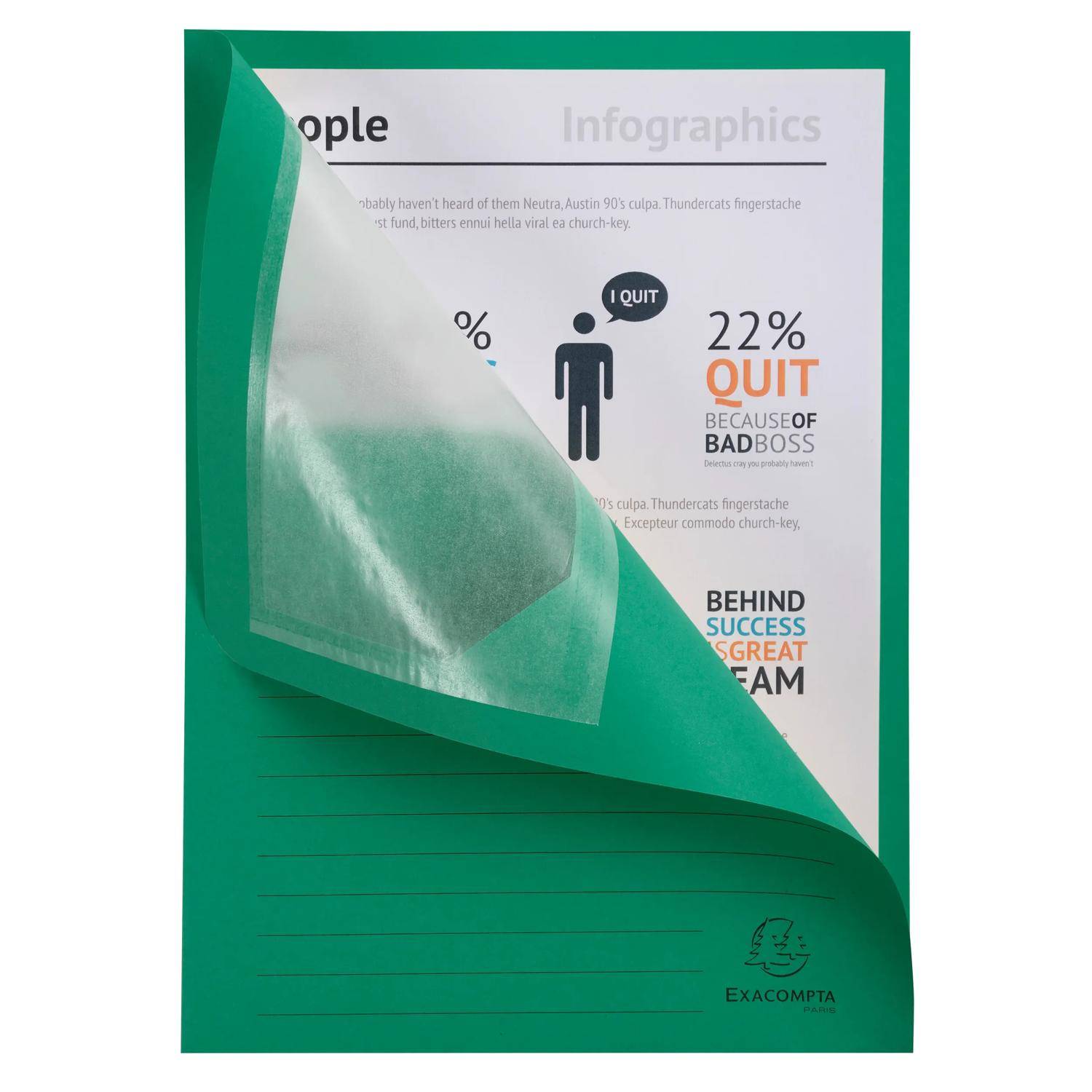 Exacompta 4x 100 Fenstermappen, A4, 160g, plastikfrei, Intensivgrün, 50103E