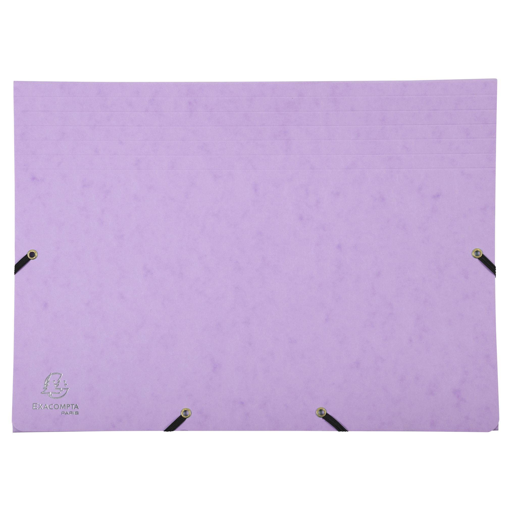 Exacompta 4x Fächermappe mehrfarbig Karton 12 Fächer 34x245cm sortiert 58560E