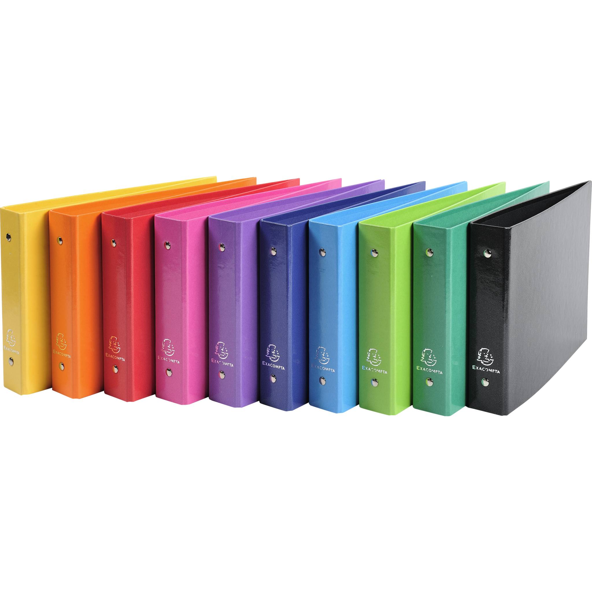 Exacompta 10x Ringbuch + 2 Ringen 25mm Rücken 35mm 165x24cm für A5 sortiert 829E