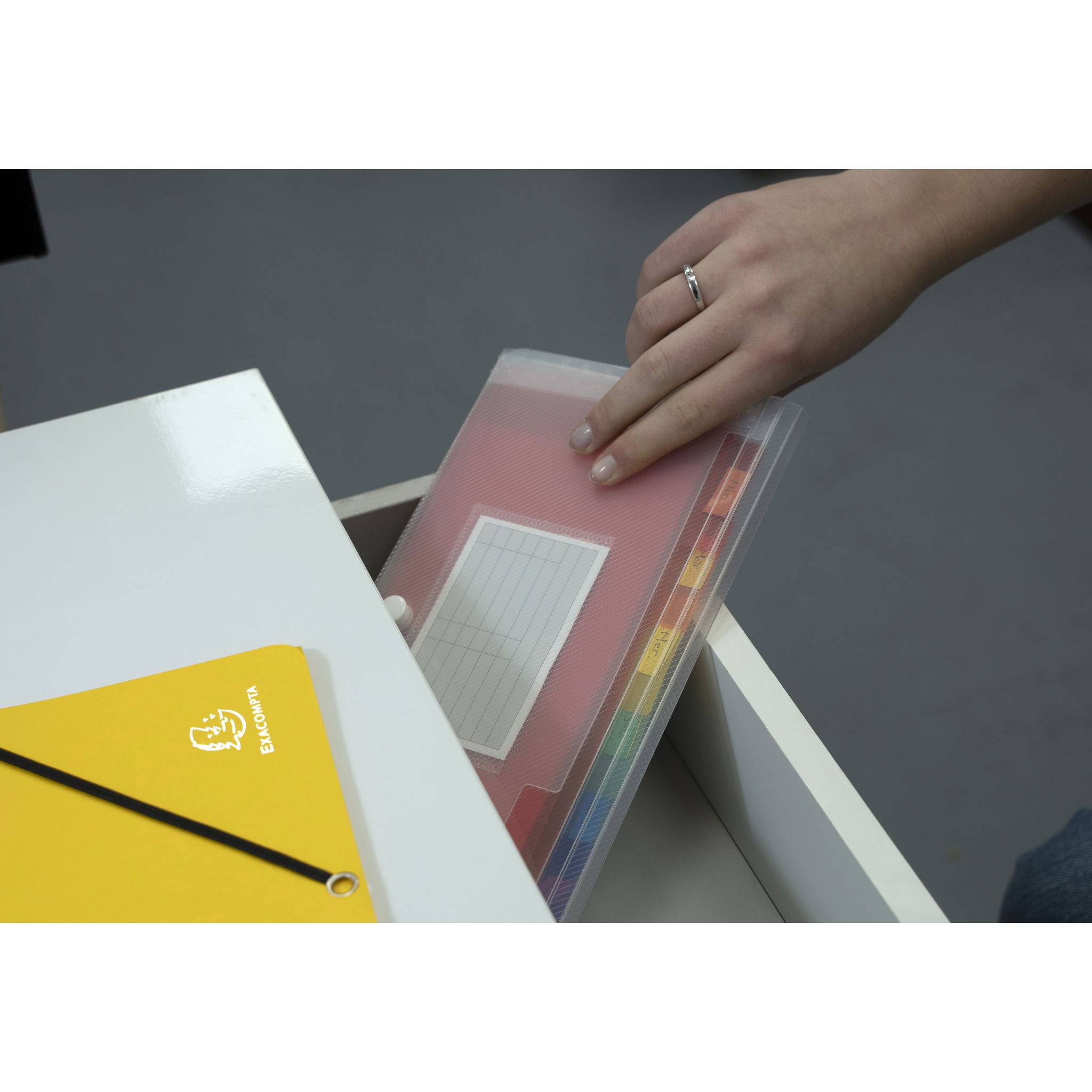 Exacompta 5x Fächermappe Griff 7 farbigen Fächern 260x140 mm Kristall 55398E