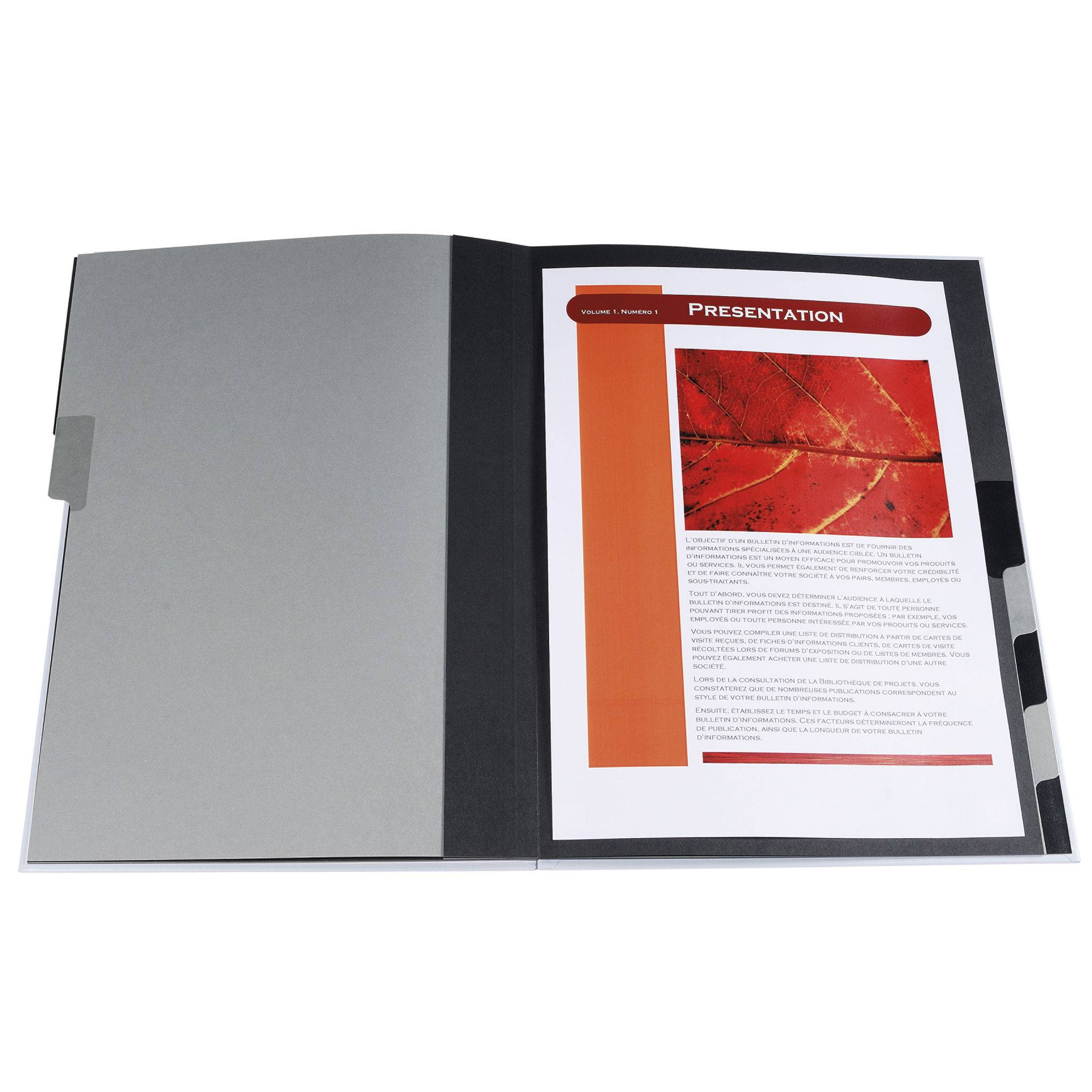 Exacompta 6x Ordnungsmappe Harmonika dehnbar Karton 12 Fächer Rosa 53928E