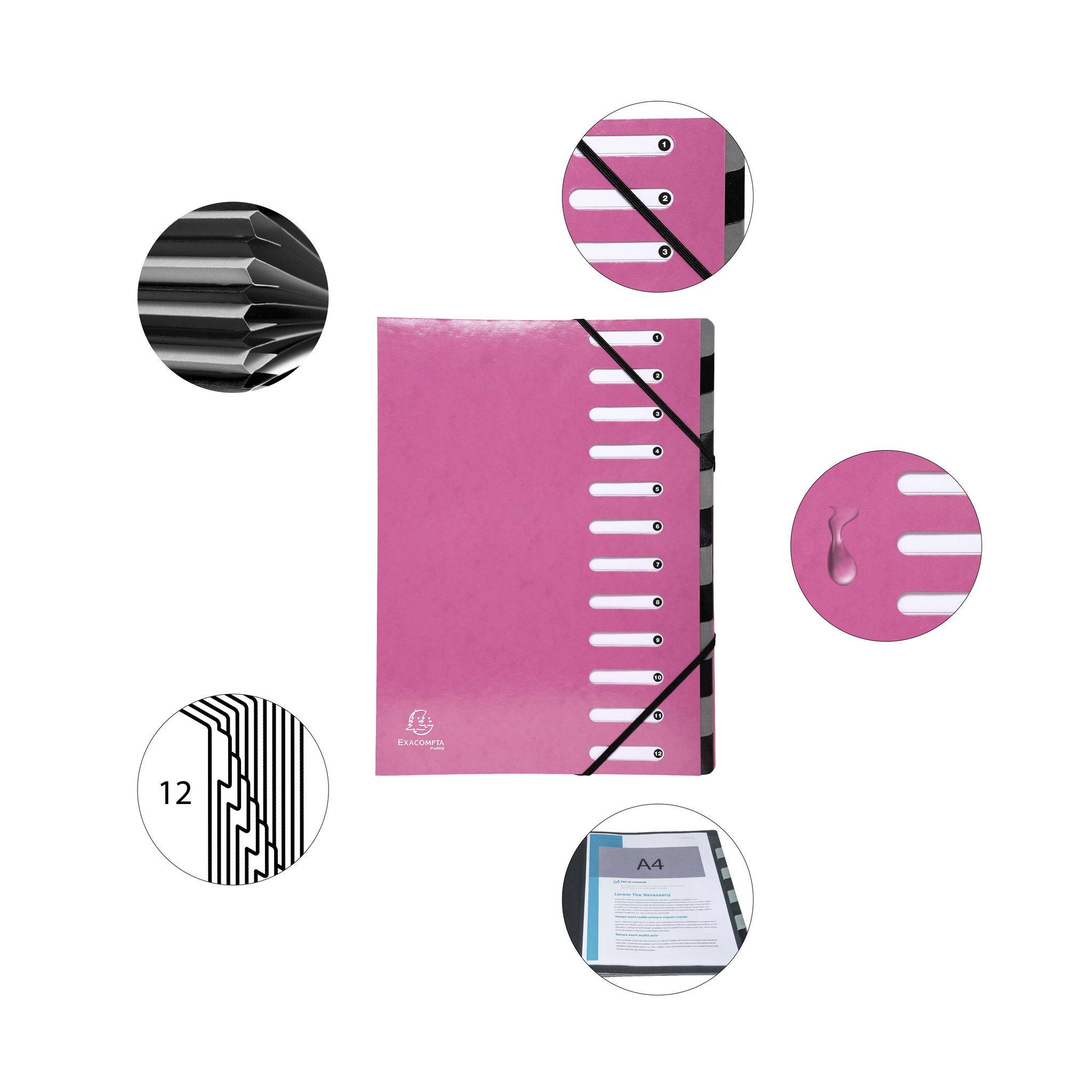 Exacompta 6x Ordnungsmappe Harmonika dehnbar Karton 12 Fächer Rosa 53928E