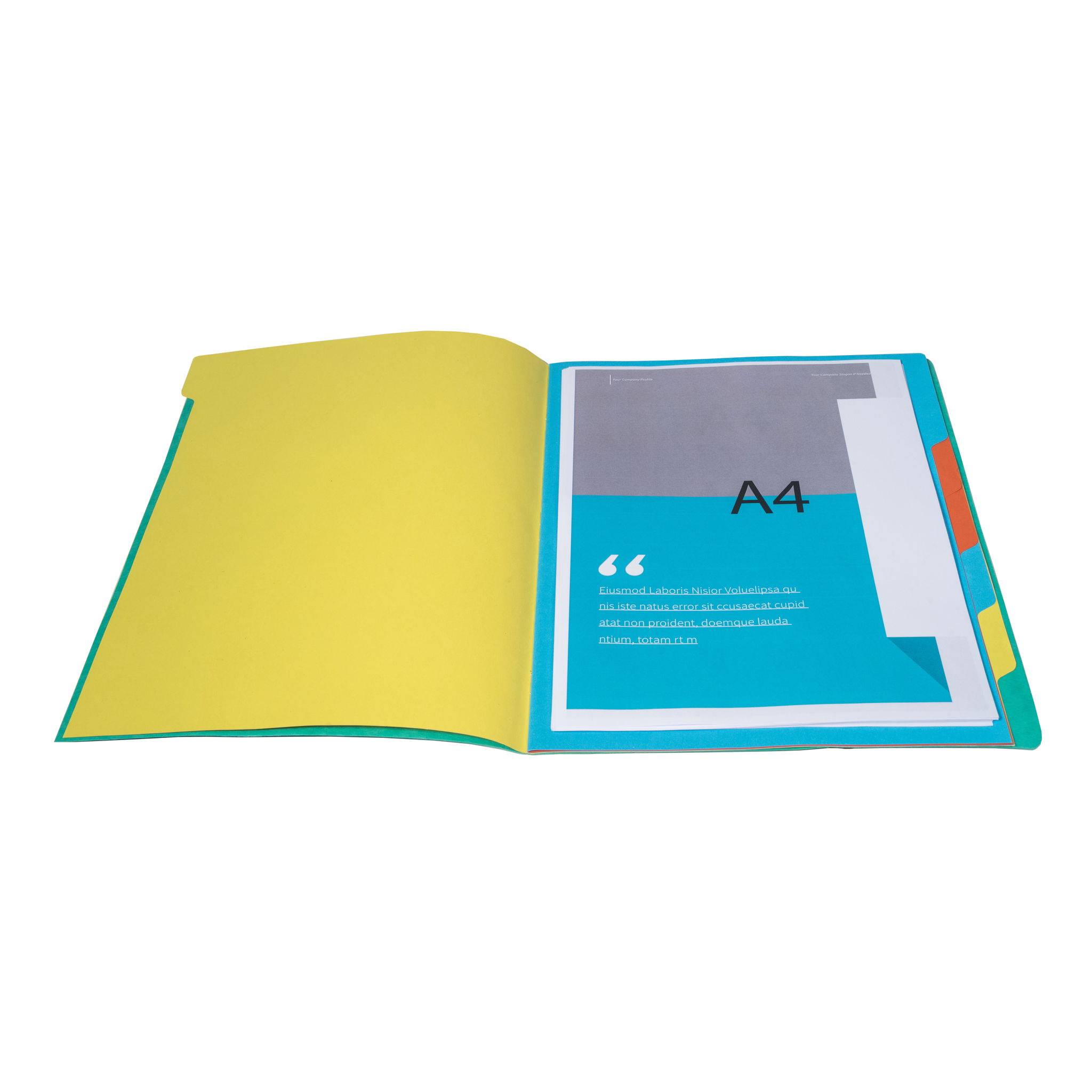 Exacompta 12x Ordnungsmappe Karton 355g/m2 + Gummizug 7 Fächern A4 Grün 54073E