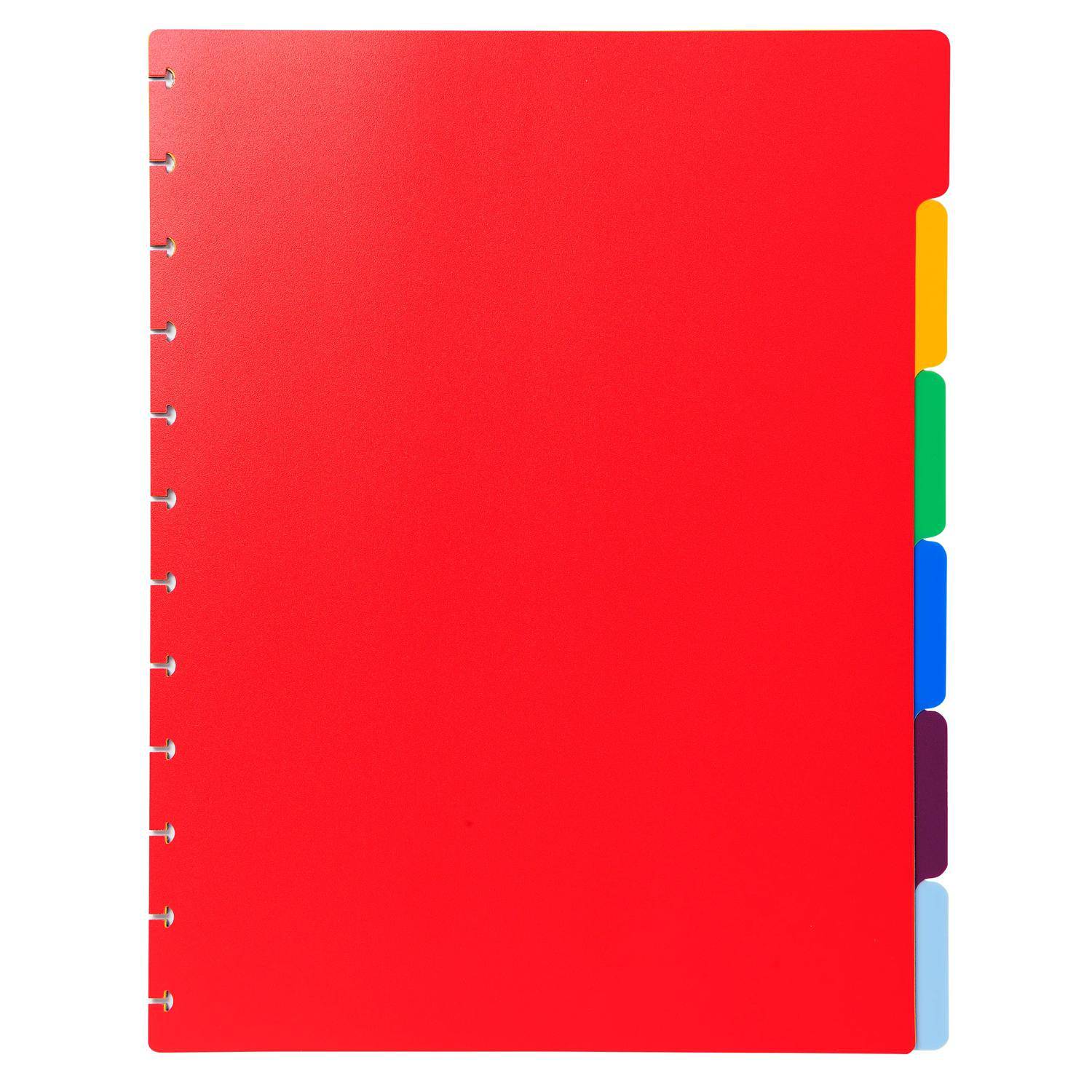Exacompta 10x Register für Prospekthüllen PP 300µ 6-teilig A4 Maxi 86002E