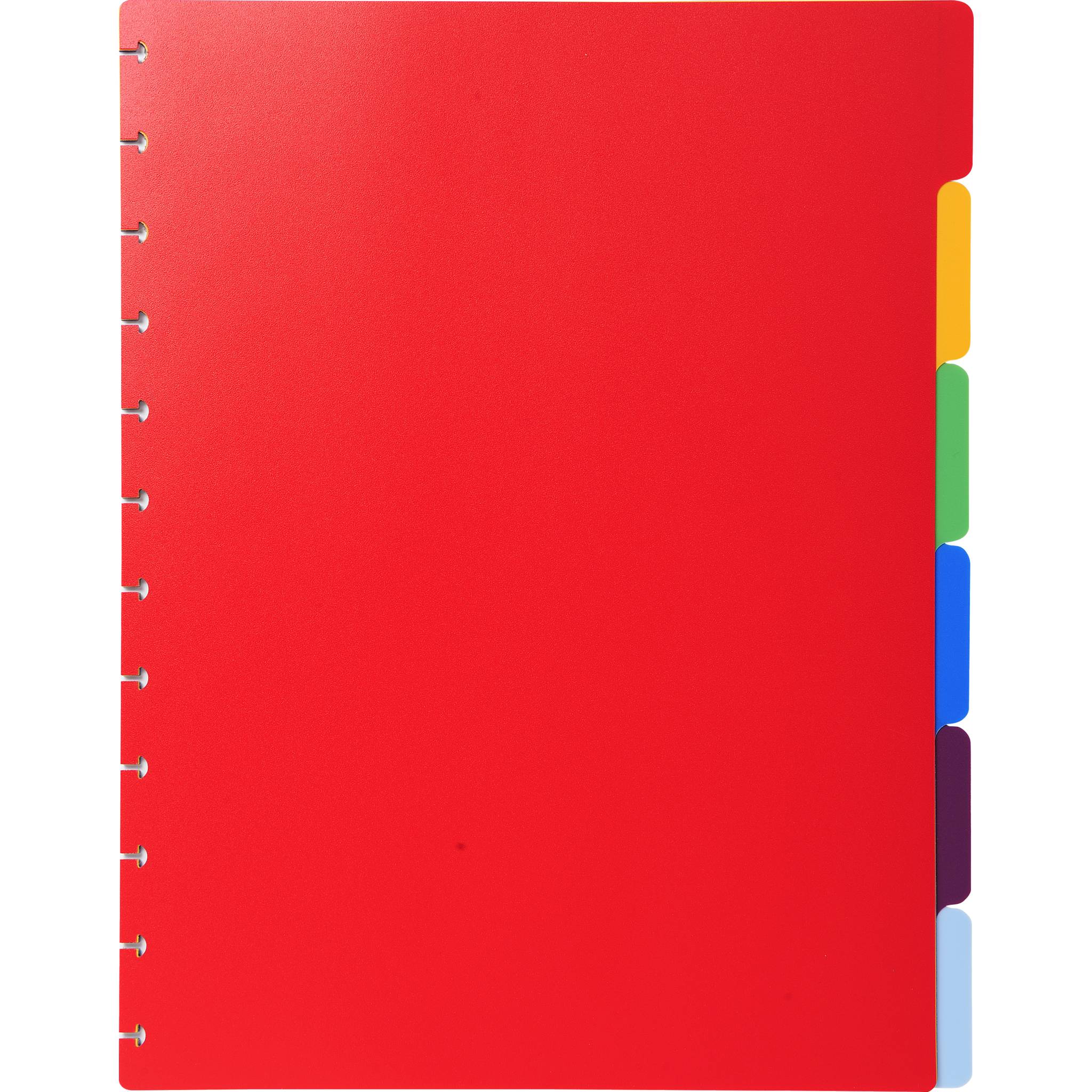 Exacompta 10x Register für Prospekthüllen PP 300µ 6-teilig A4 Maxi 86002E