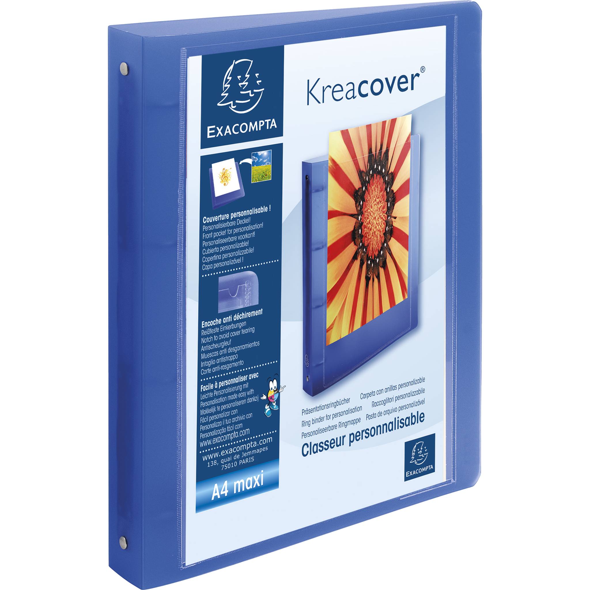 Exacompta 12x Ringbuch PP 4 Ringe 30mm Rücken 40mm A4 Maxi sortiert 51869E