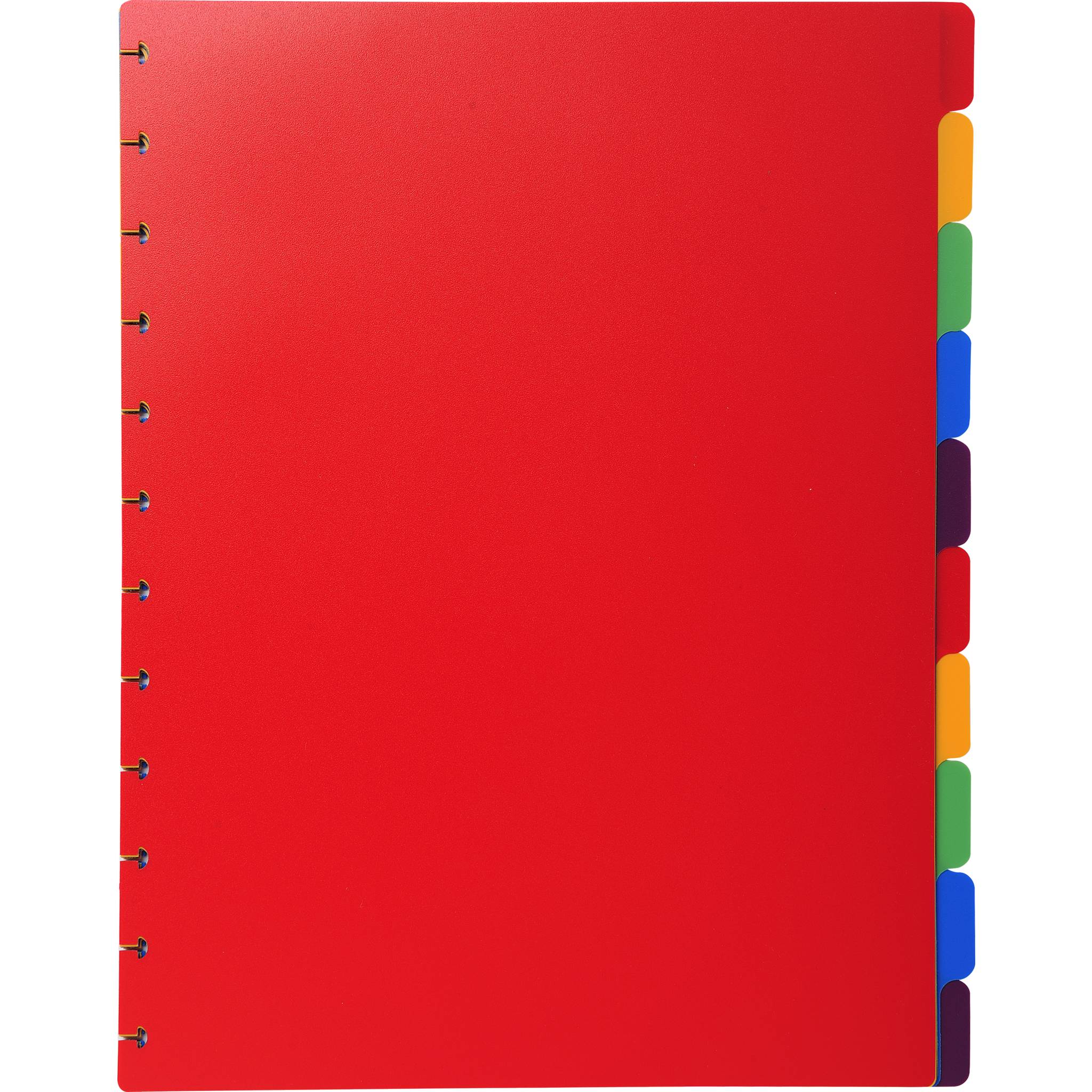 Exacompta 10x Register für Prospekthüllen PP 300µ 10-teilig A4 Maxi 86003E