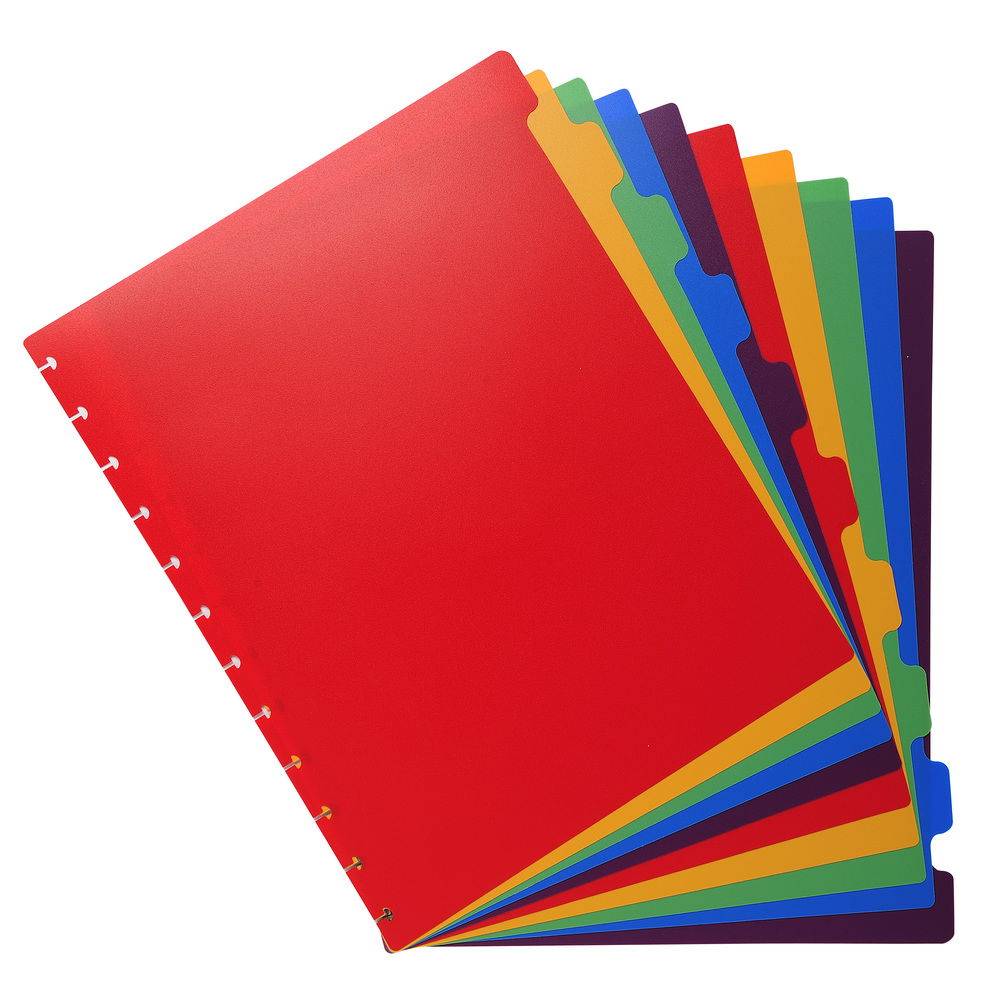 Exacompta 10x Register für Prospekthüllen PP 300µ 10-teilig A4 Maxi 86003E