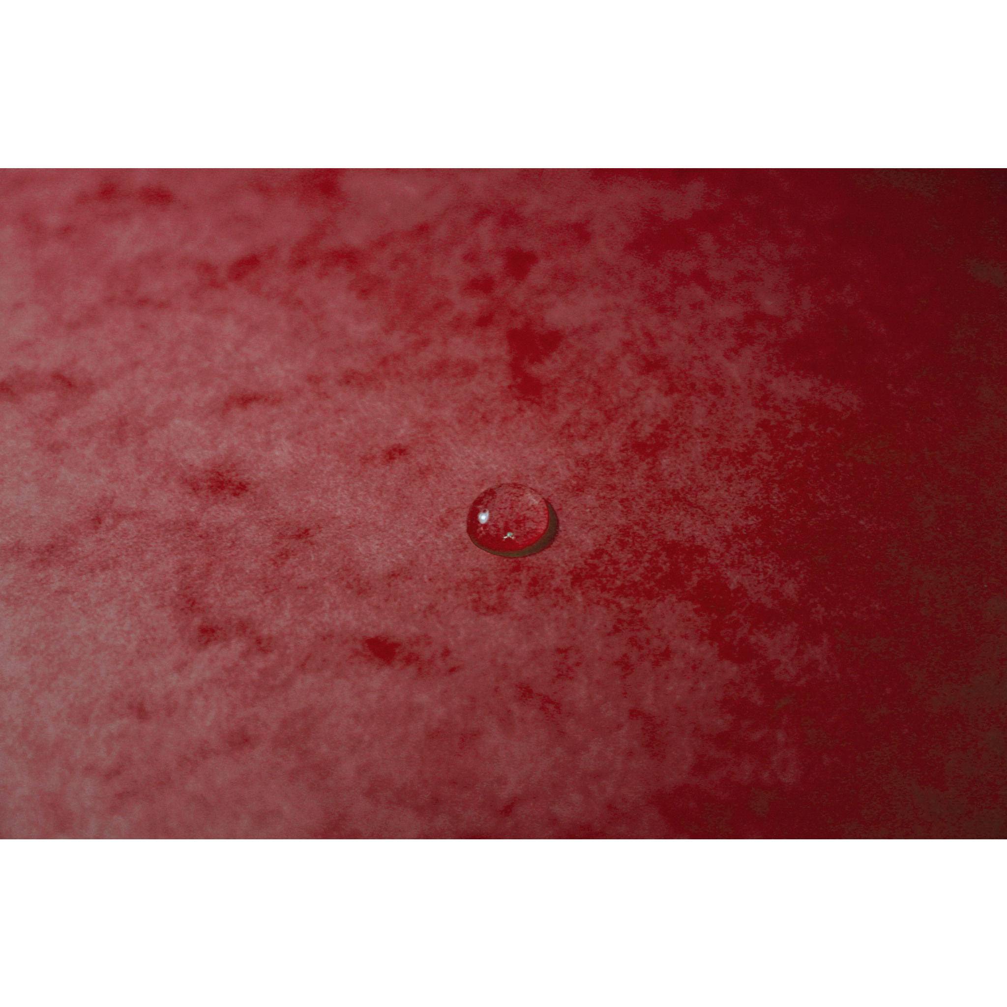 Exacompta 25x Eckspannmappe + Gummizug ohne Klappen, Karton, A4, Rot, 5515E