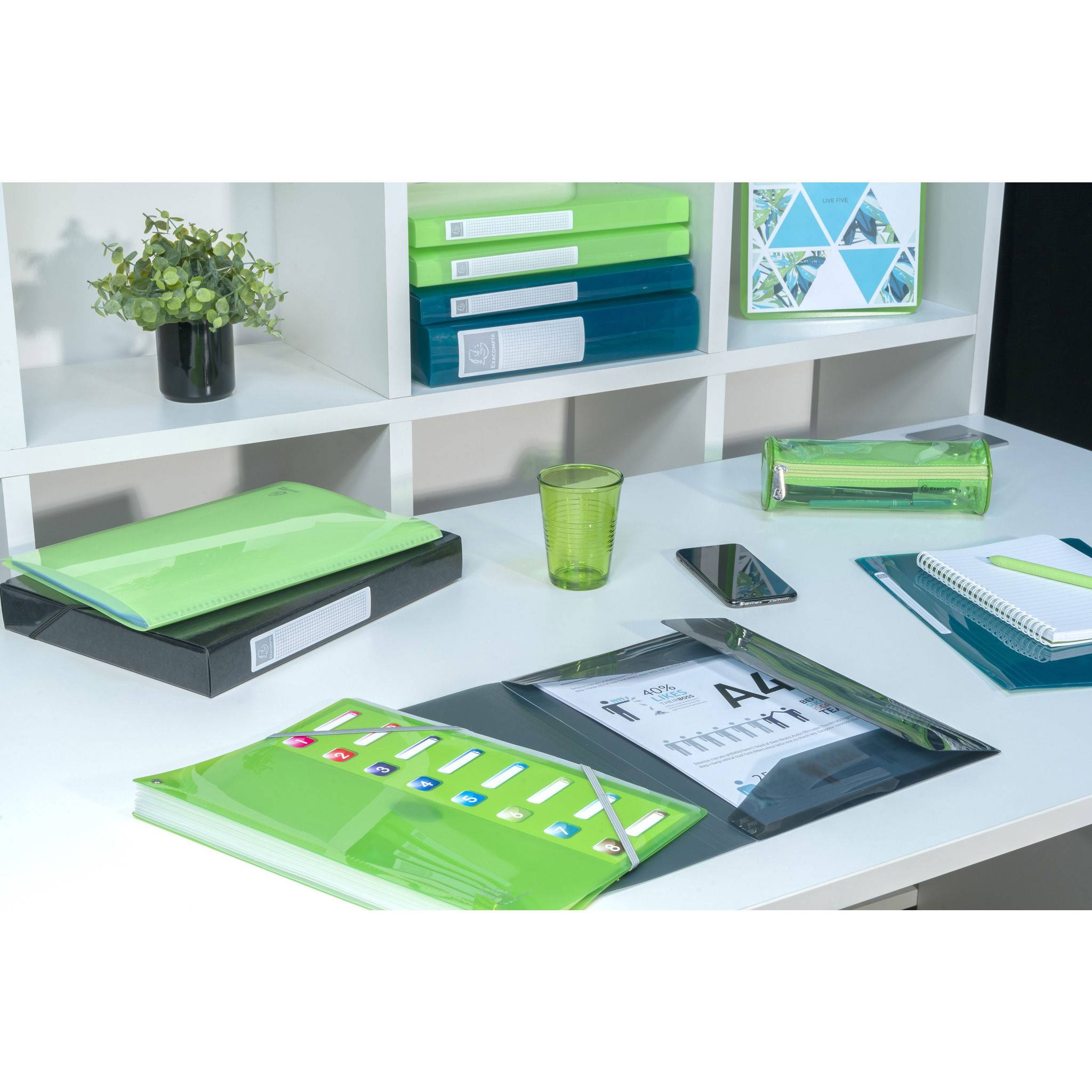 Exacompta 8x Sichtmappe PP 500µ, 60 Hüllen, 24x32cm A4, , sortiert, 85280E