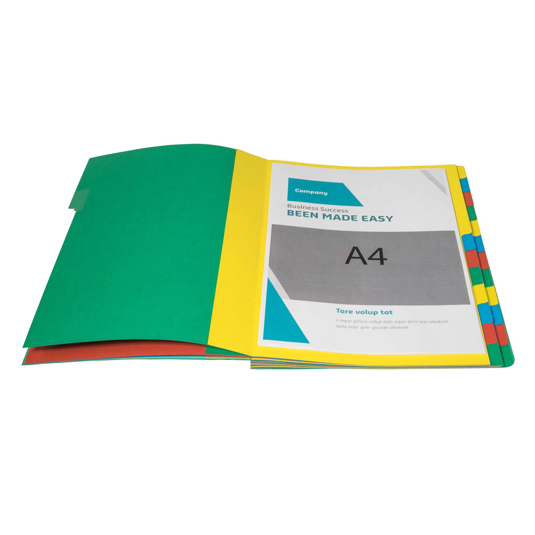 Exacompta 4x Dehnbare Ordnungsmappe Harmonika-Rücken 24 Fächer A4 Grün 5124E