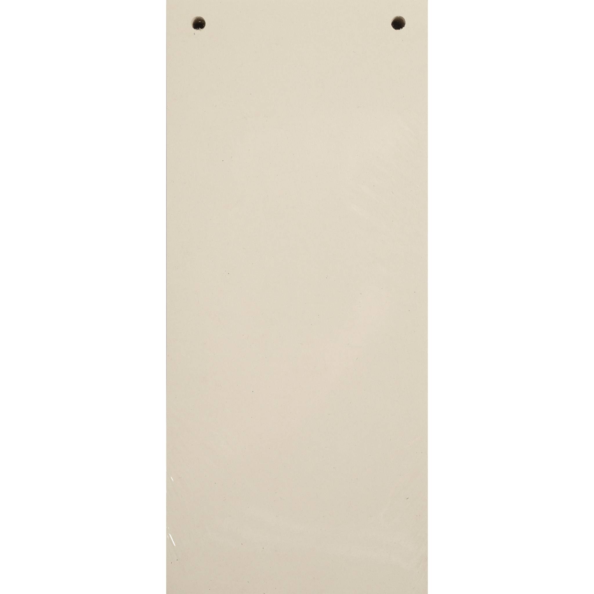 Exacompta 12x 100 Trennstreifen 2-fach gelocht RC Kart 105x240mm Sand 13475B