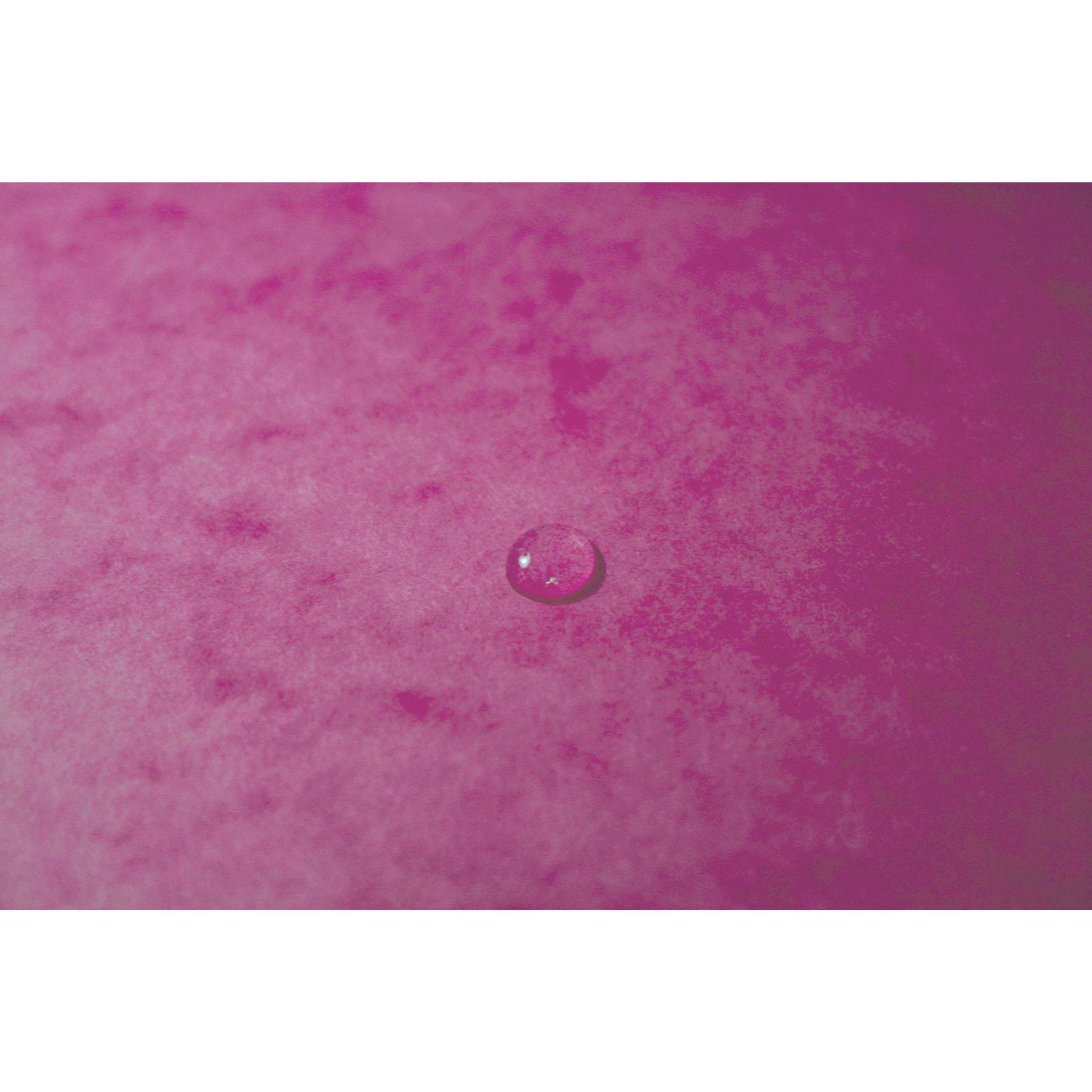 Exacompta 25x Eckspannmappe + Gummizug ohne Klappen, Karton, A4, Rosa, 555420E