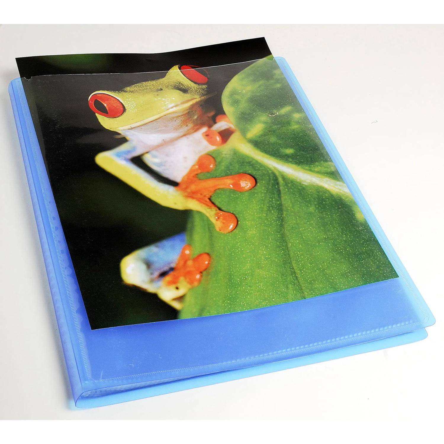 Blaues Fotoalbum oder Ordner mit einem Titelbild eines Rotaugenlaubfrosches auf einem grünen Blatt