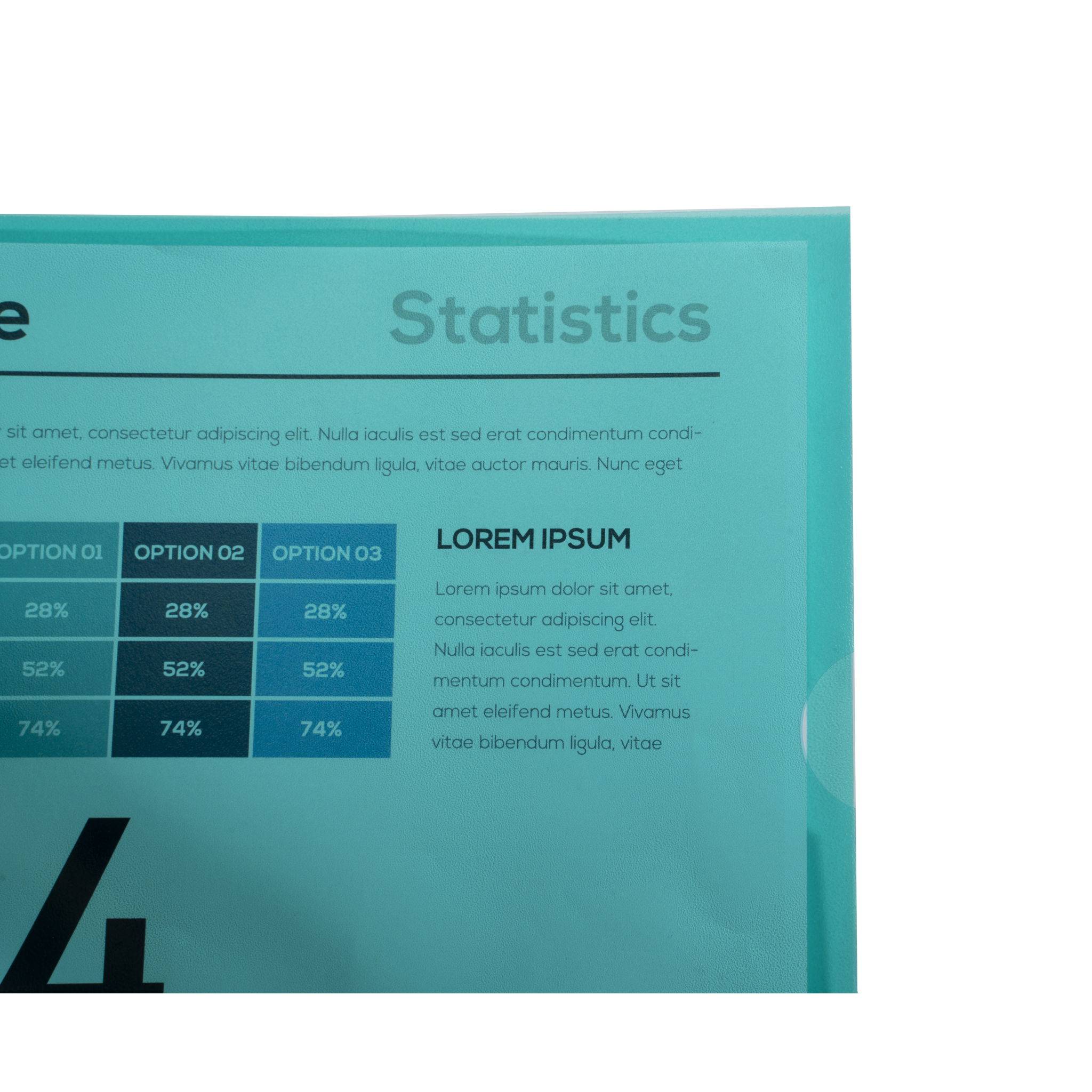 Exacompta 10x Pack 100 Aktenhüllen PP genarbt 1,2mm - A4 - Grün - 58523E