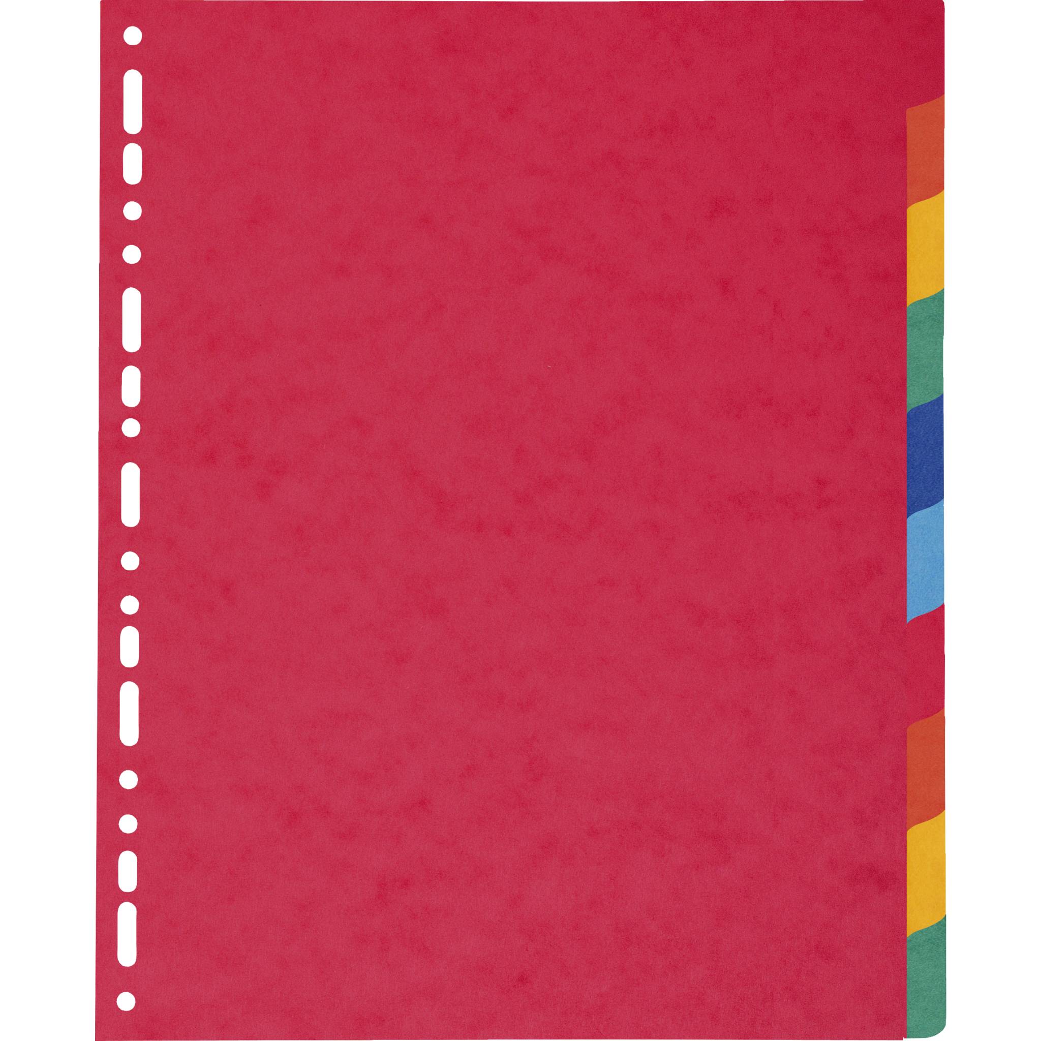 Exacompta 10x Register A4 Maxi, Colorspan-Karton 225g, 10 Taben - 2410E