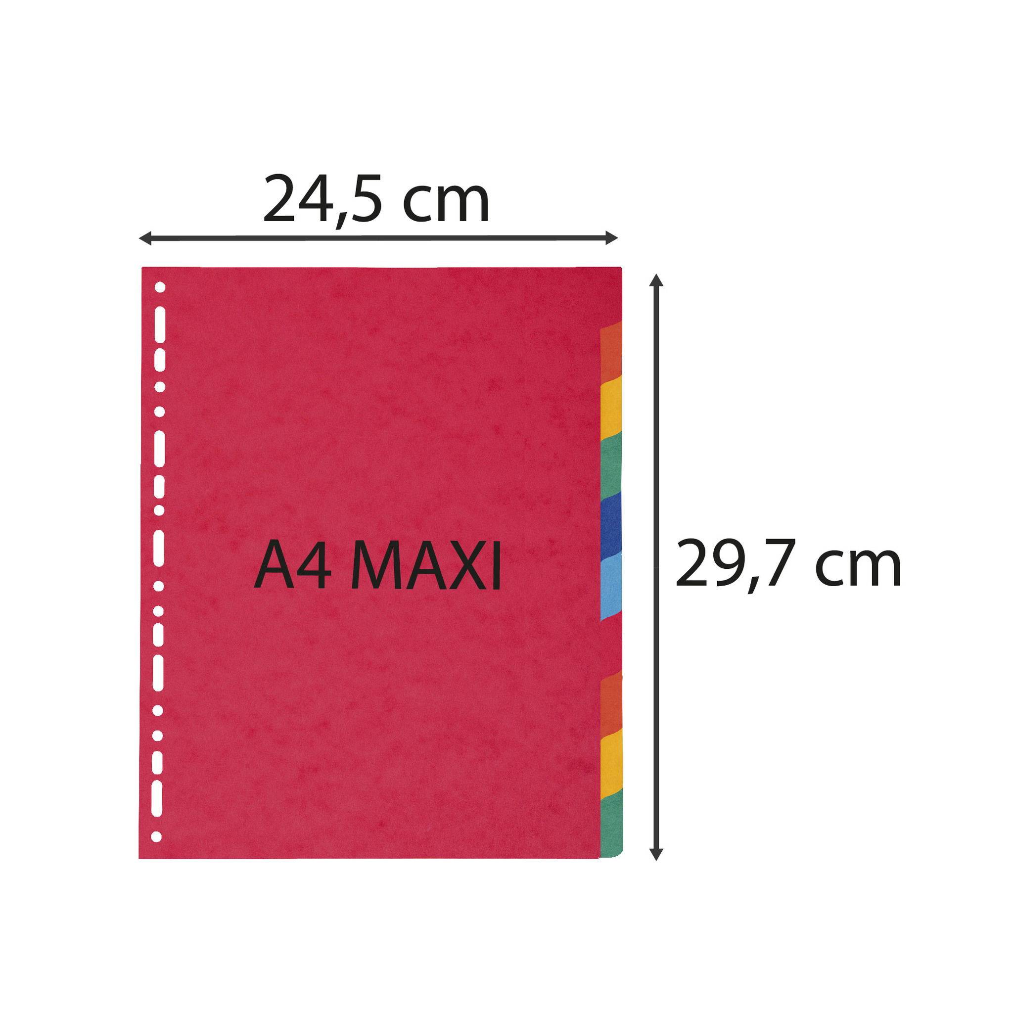 Exacompta 10x Register A4 Maxi, Colorspan-Karton 225g, 10 Taben - 2410E