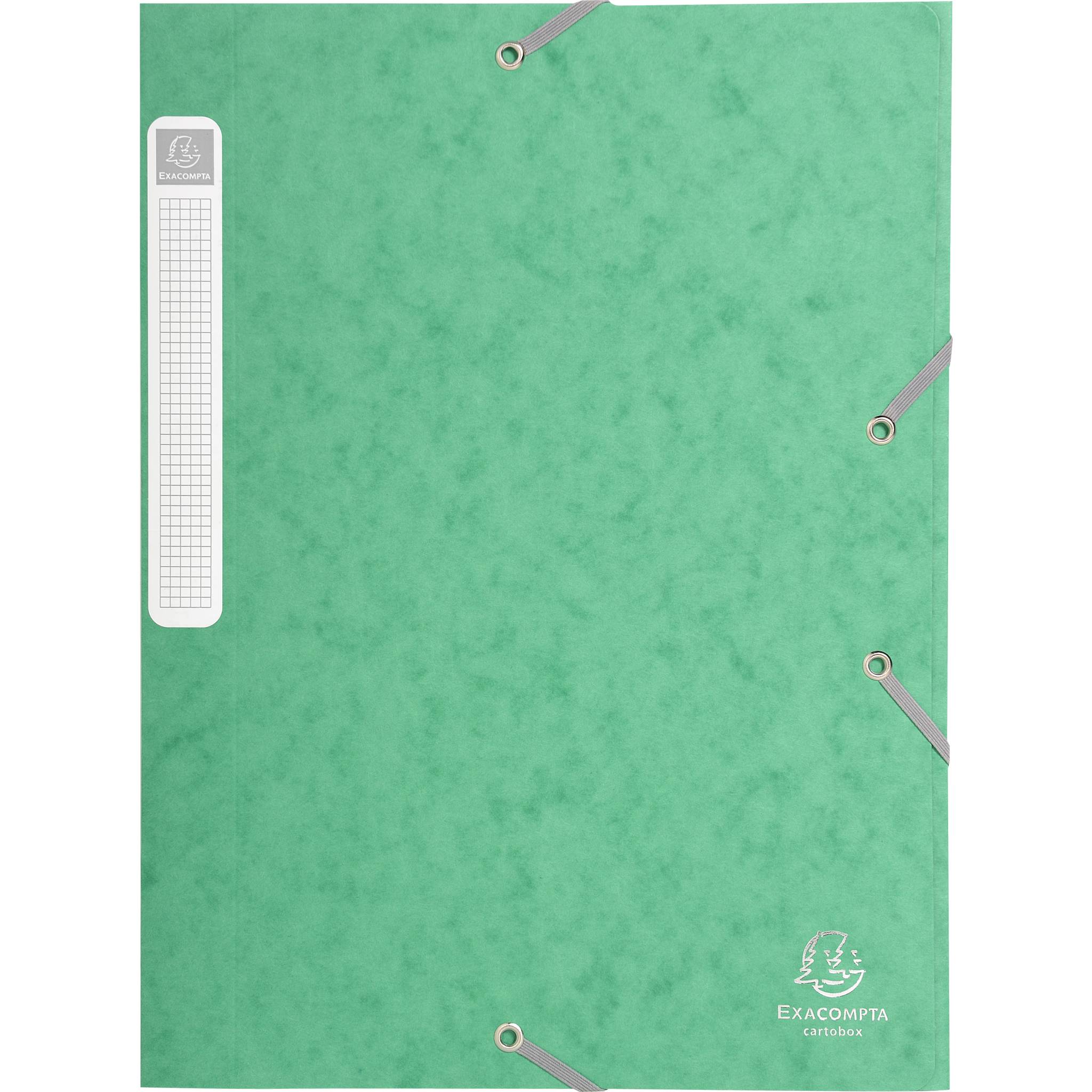 Exacompta 25x Archivbox Rücken 25mm Karton + 3 Klappen Gummizug A4 Grün 18503H
