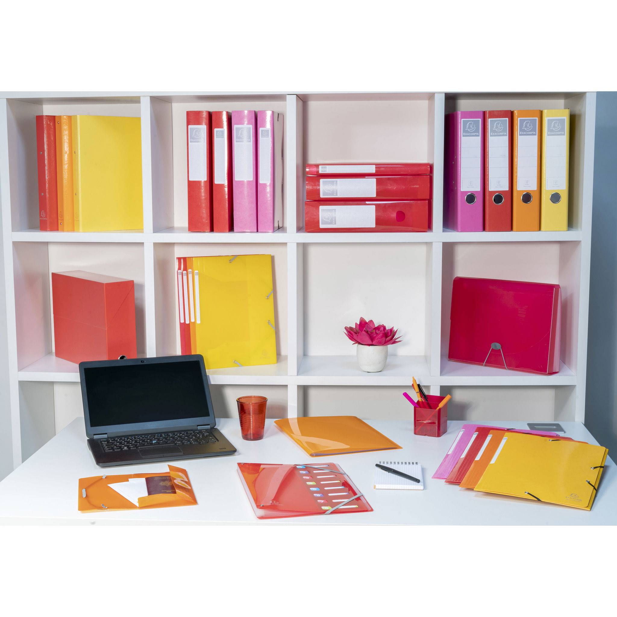 Exacompta 10x mittelfestes Ringbuch 4 Ringe, PP 700µ, PP- A4 Maxi, Rosa, 51774E