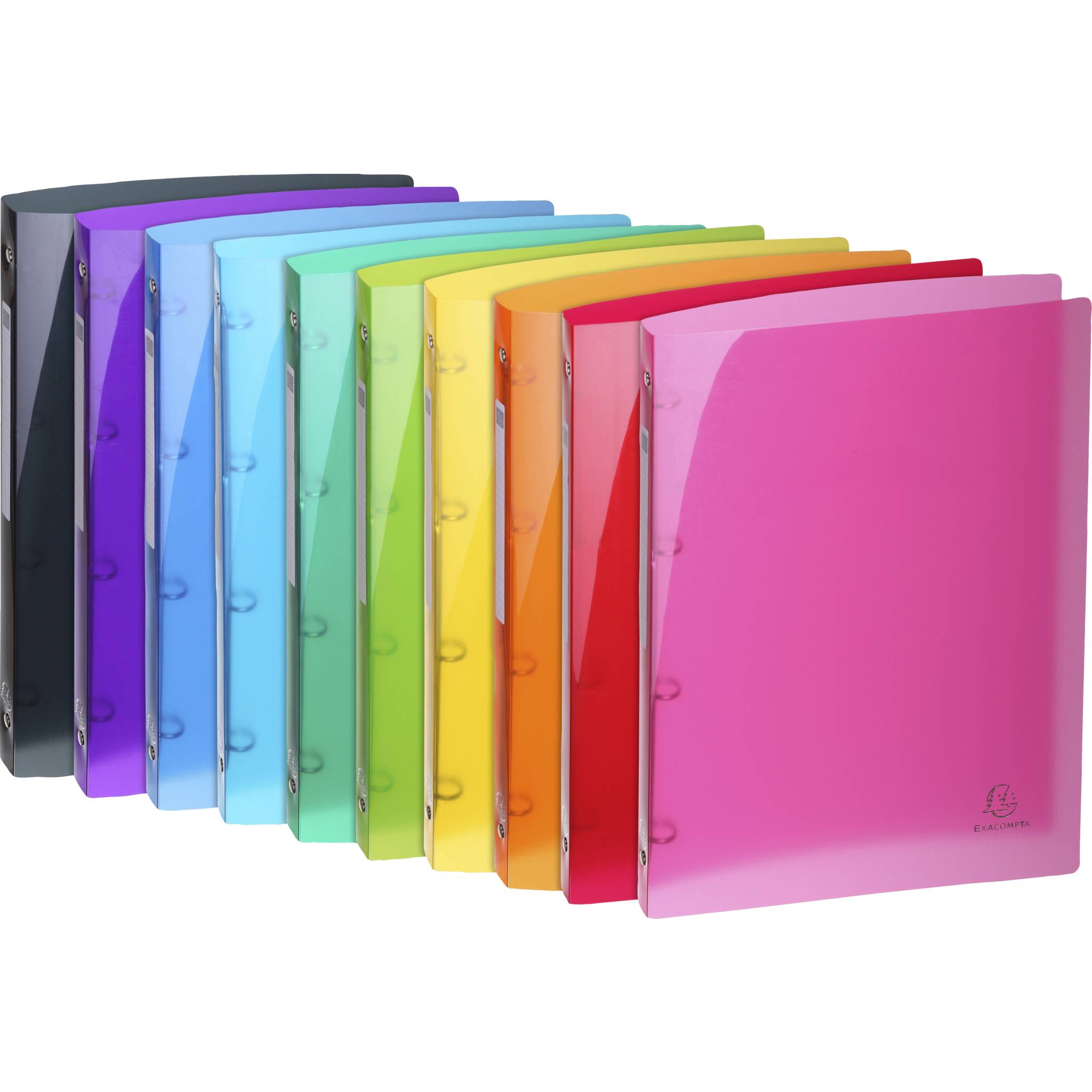 Exacompta 20x flexibler Ringhefter 4 Ringe 15mm PP 500µ PP A4 sortiert 51670E