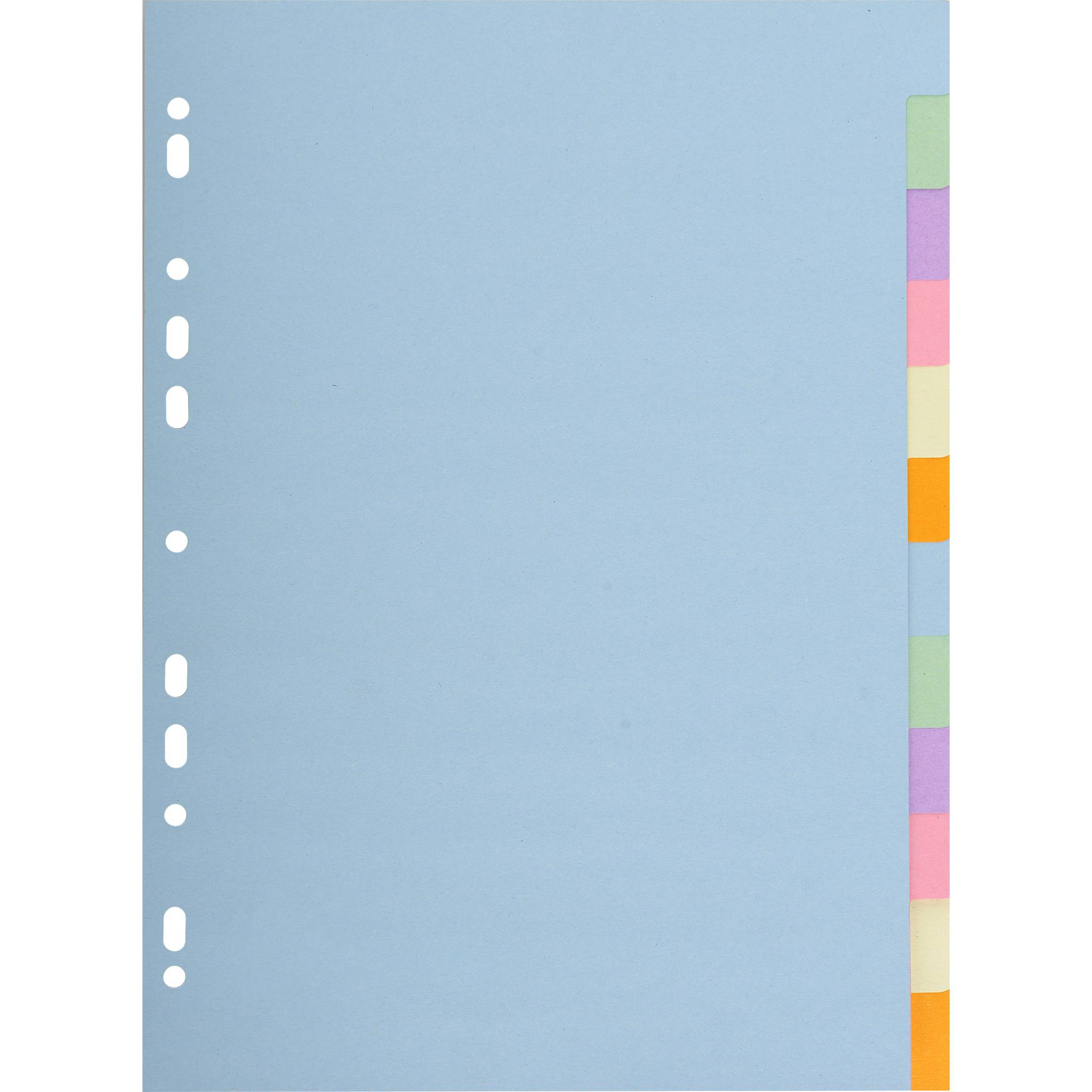 Exacompta 25x Register RC Kart.170g, 12 neutrale Taben, A4,, Pastell, 1612E