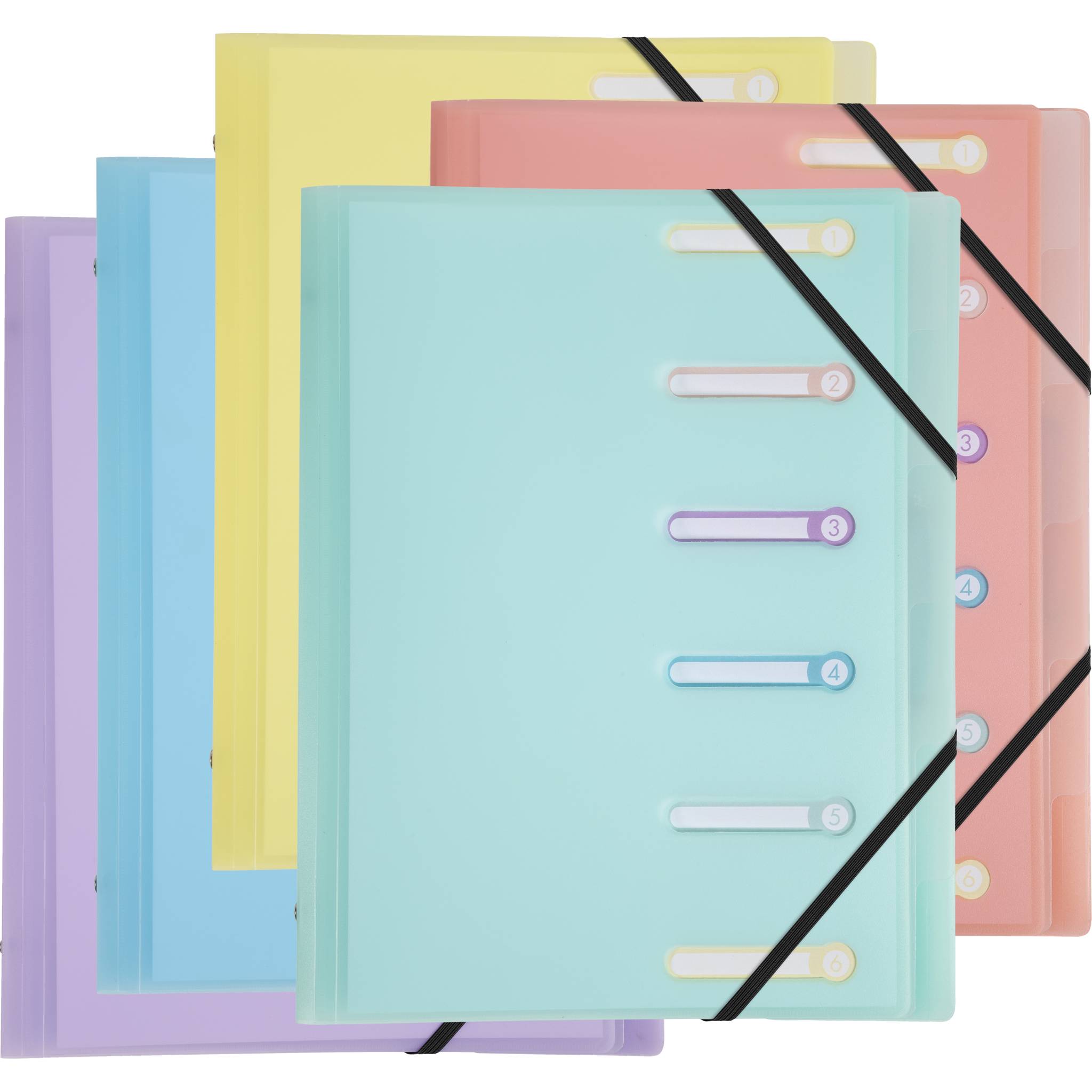 Exacompta 10x Fächermappe A4 PP + Gummizug 3 Klappen 6 Fächern sortiert 56170E