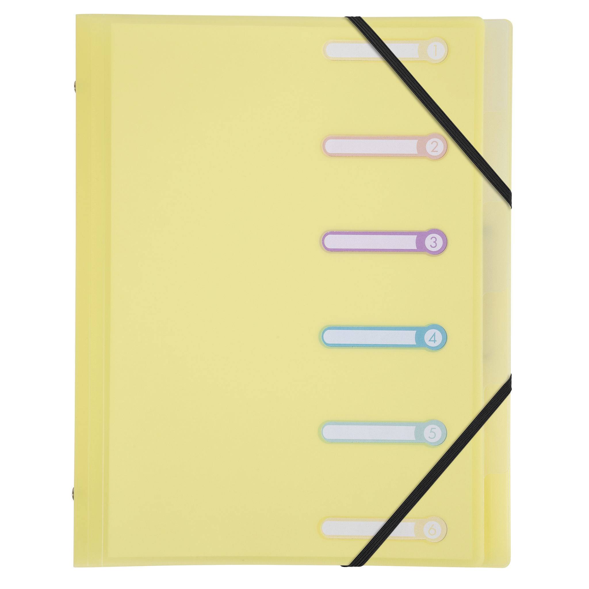 Exacompta 10x Fächermappe A4 PP + Gummizug 3 Klappen 6 Fächern sortiert 56170E