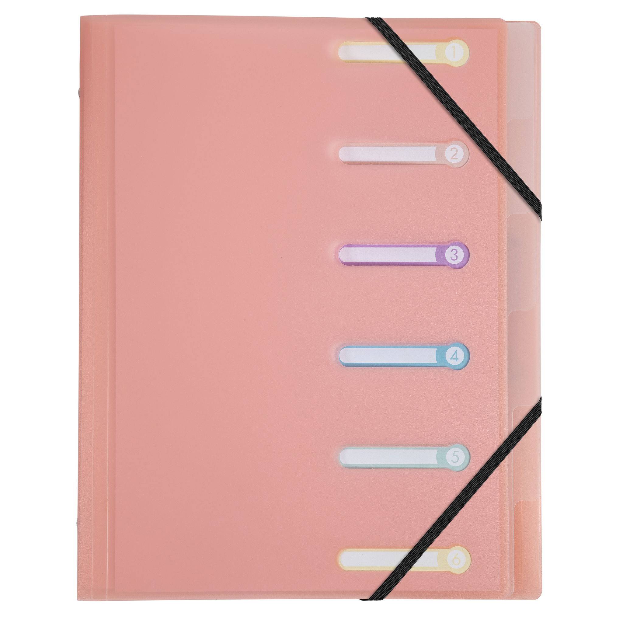 Exacompta 10x Fächermappe A4 PP + Gummizug 3 Klappen 6 Fächern sortiert 56170E