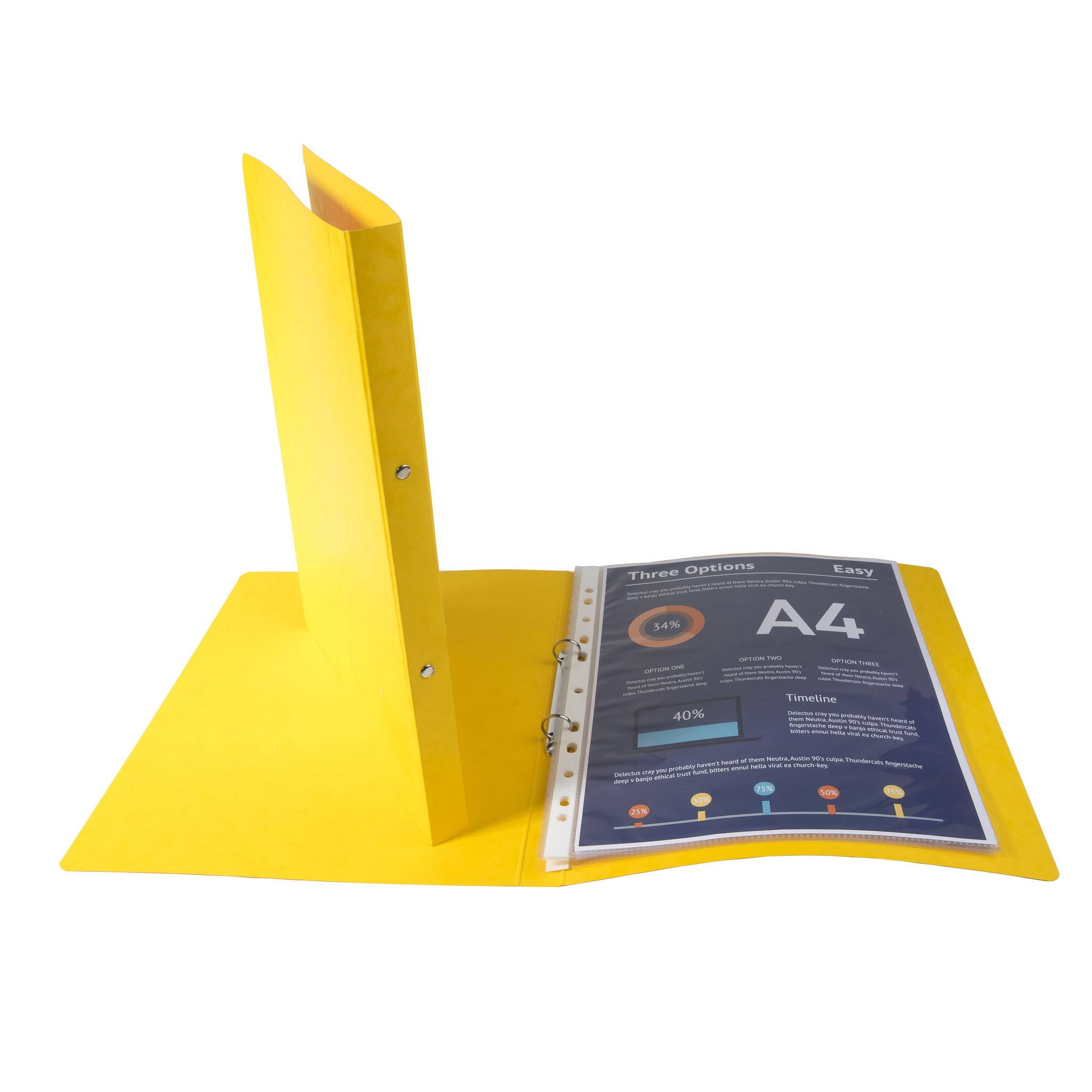 Exacompta 10x Ringhefter Karton 355g 2Ring 15mm Rücken 20mm A4 Gelb 54259E