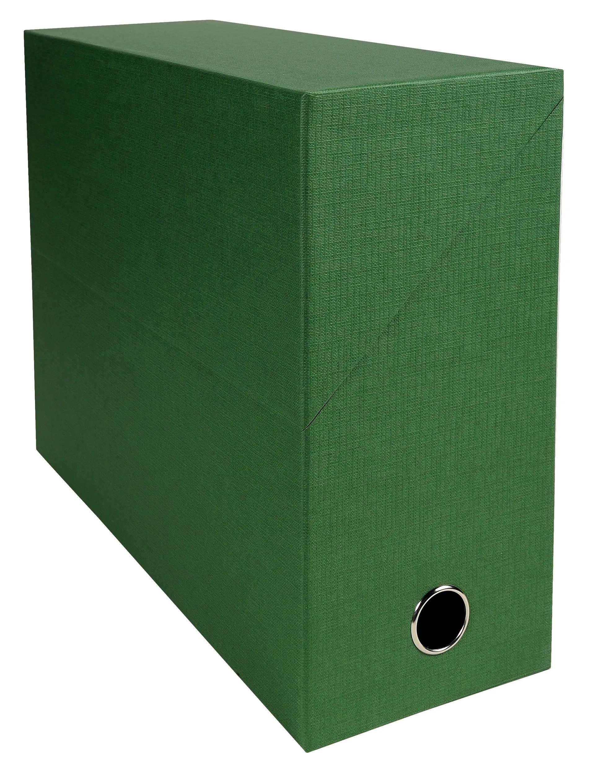 Exacompta 5x Transferbox Rücken 120mm gerilltes Papier - Grün - 89423E