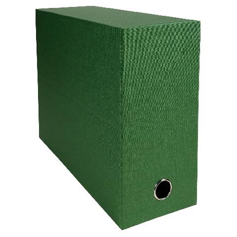 Exacompta 5x Transferbox Rücken 120mm gerilltes Papier - Grün - 89423E