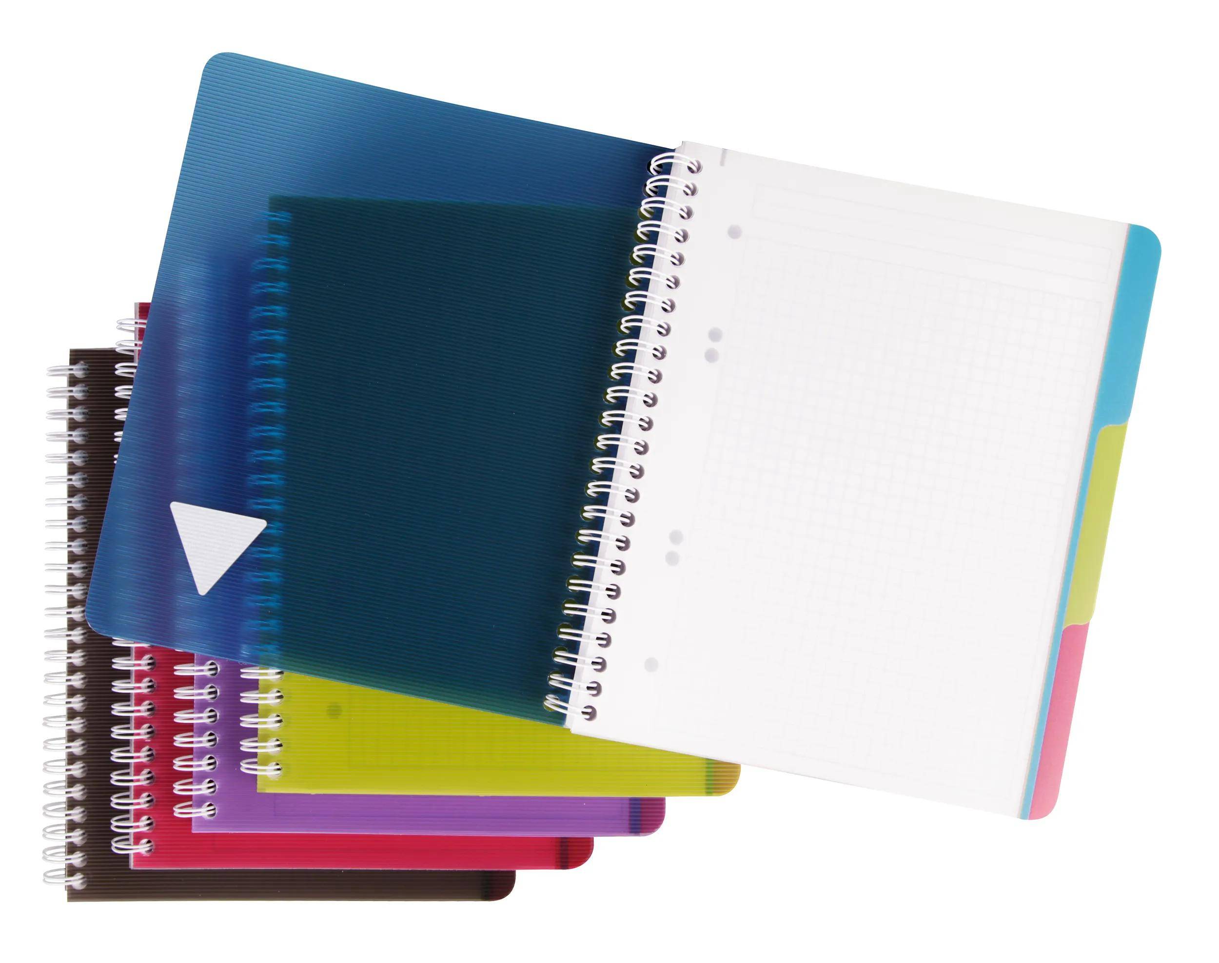 Clairefontaine 5x Buch & Deckel 16x21cm 90 Blatt kariert sortiert 329755C