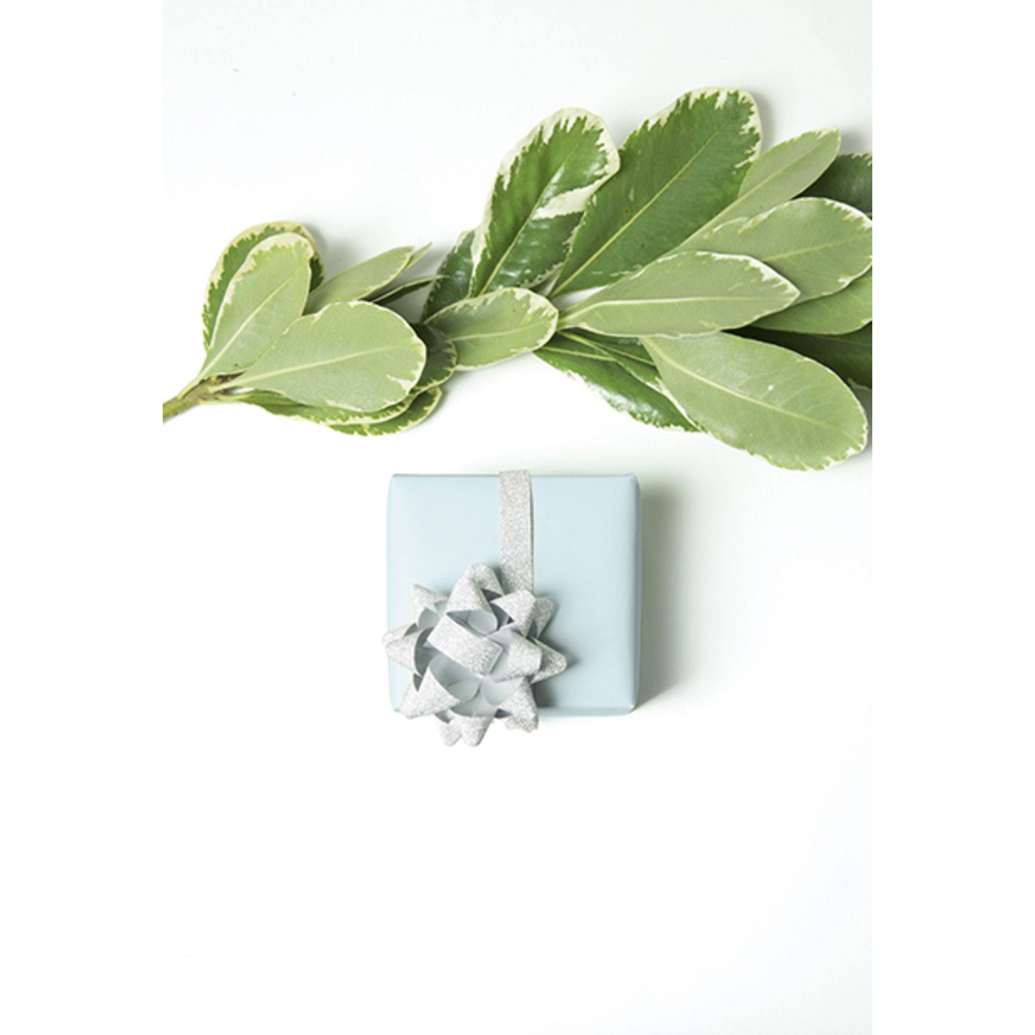 Clairefontaine 20x Tiny Rolls Geschenkpapier 5x0,35m Pastellfarben sort. 95801C