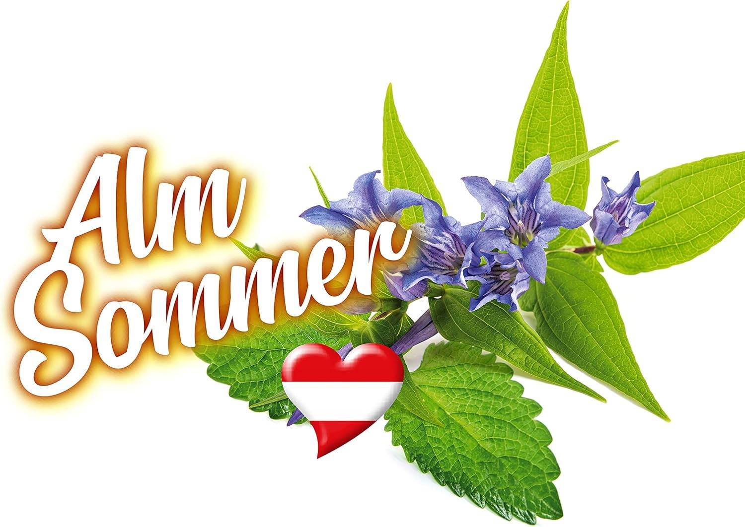 SONAX ScheibenReiniger gebrauchsfertig AlmSommer 3 L