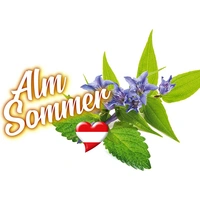SONAX ScheibenReiniger gebrauchsfertig AlmSommer 3 L SONAX ScheibenReiniger gebrauchsfertig AlmSommer 3 L