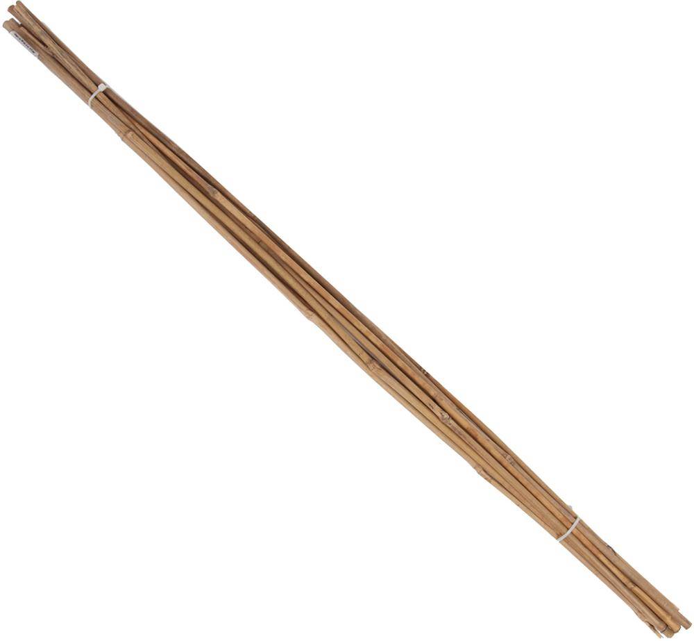 Tonkin-Pflanzstab Ø 6-8mm 75cm 10er Bund Floraworld