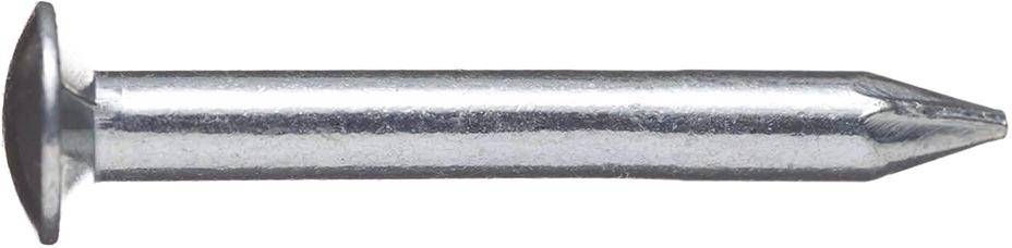 Stahlnagel blank 2,0x 25 Linsenkopf BÄR