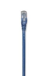 Blaues Ethernet-Netzwerkkabel mit RJ45-Stecker auf weißem Hintergrund.