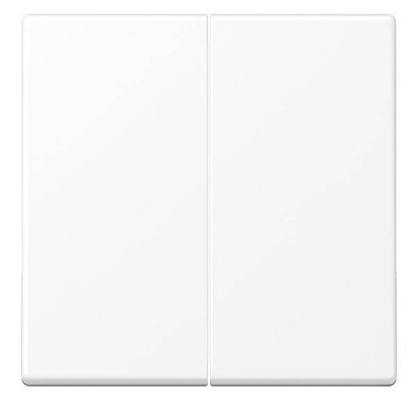 Jung Steuertaste 2-fach A 1702 BF WWM