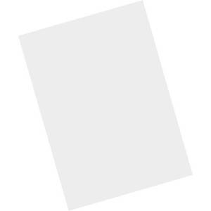 Zebra - Schutzfolie (Packung mit 5) - für Zebra MC9300