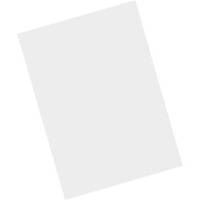 Zebra - Schutzfolie (Packung mit 5) - für Zebra MC9300