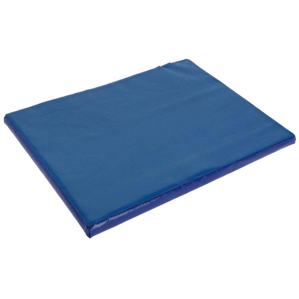 Desinfektionsmatte - Fassungsvermögen 6 l - Abmessungen (L x B x H) 55 x 45 x 3 cm - blau