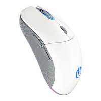 ENDORFY GEM Plus Wireless Onyx White, Beidhändig, Optisch, RF Wireless + USB Type-C, 26000 DPI, Weiß