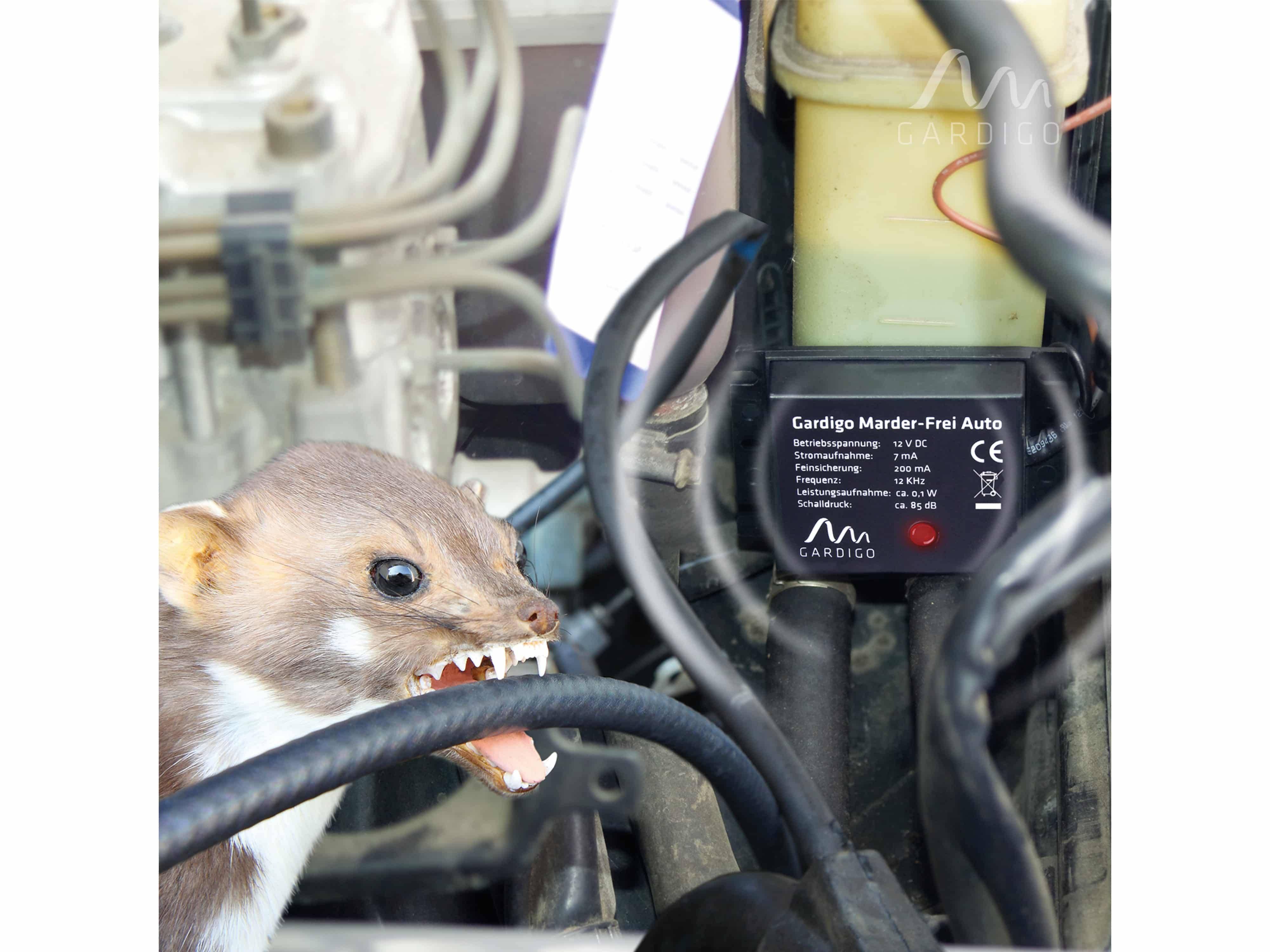 GARDIGO Marder-Frei KFZ