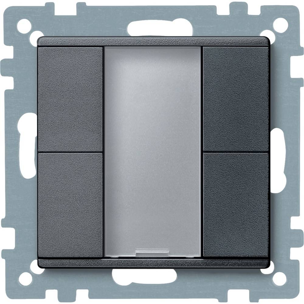 Elektrischer Wandschalter mit einem zentralen silbernen Wippen-Element und zwei schwarzen Modulen auf beiden Seiten, montiert auf einem Metallrahmen.