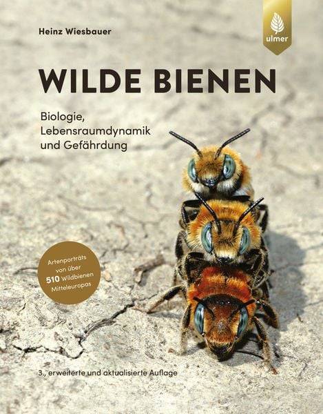Wilde Bienen