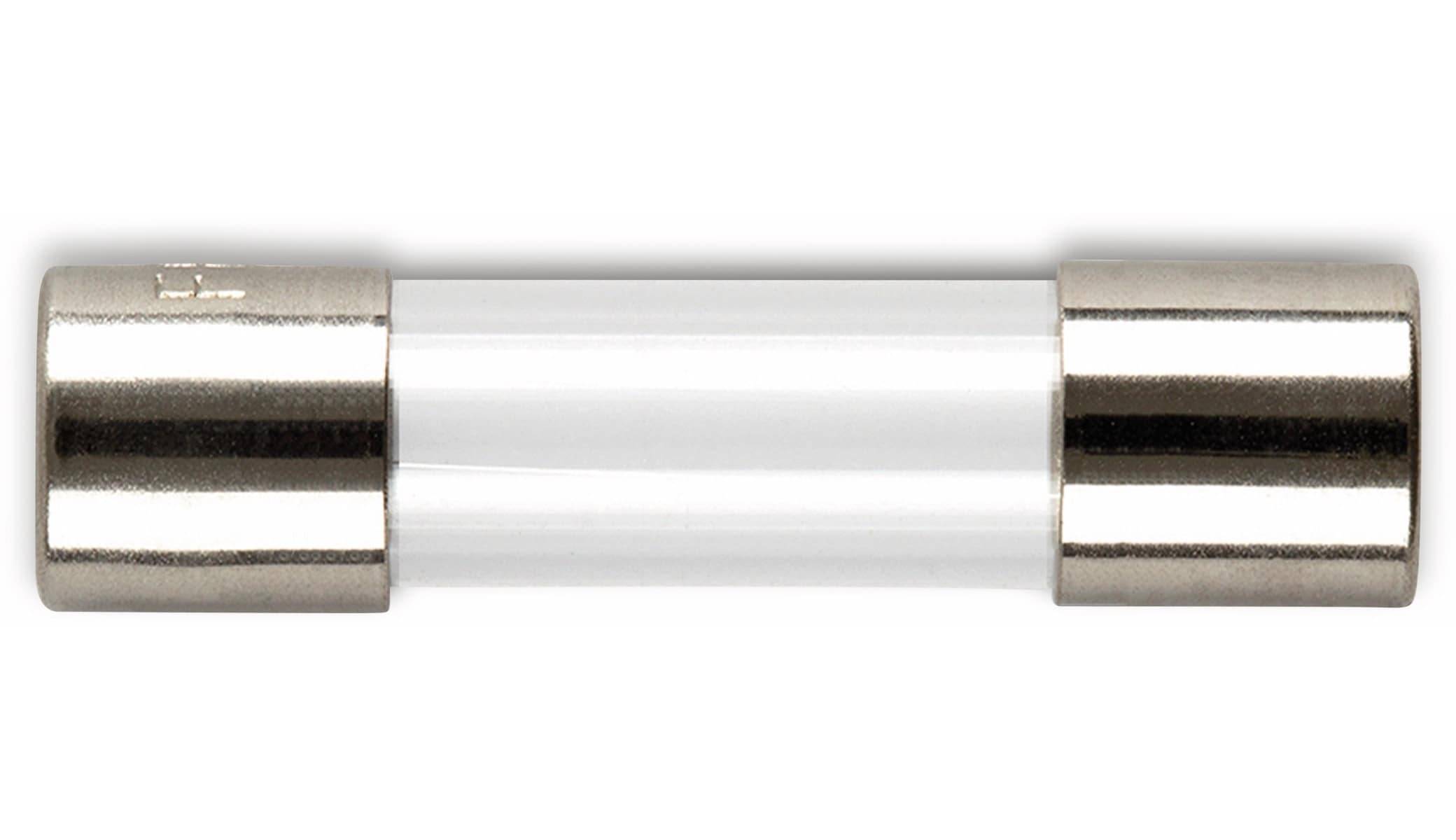 ESKA 522511, Feinsicherung 5x20mm, träge, T 250 mA, 10 Stück